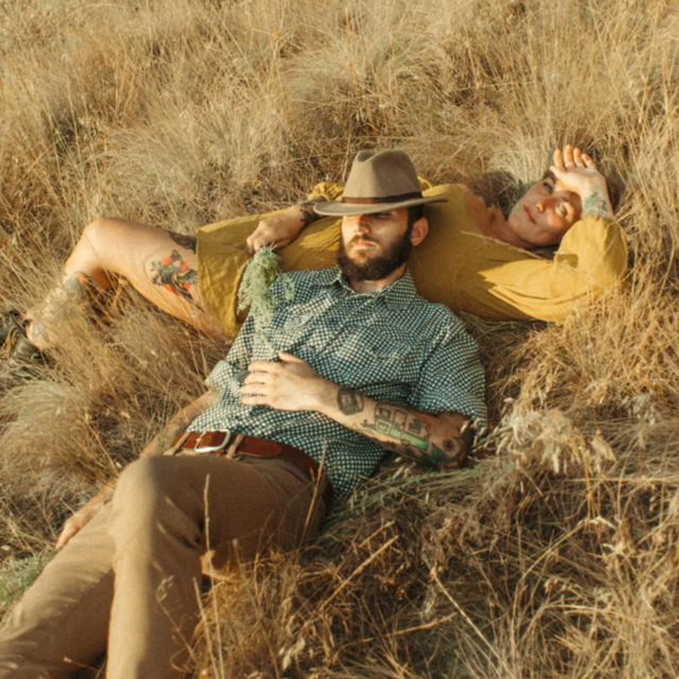 Two Crows for Comfort