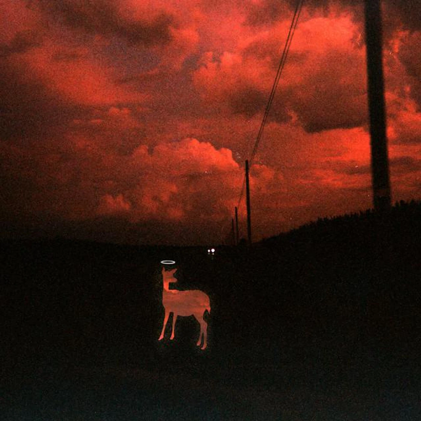 Tyler Heaven
