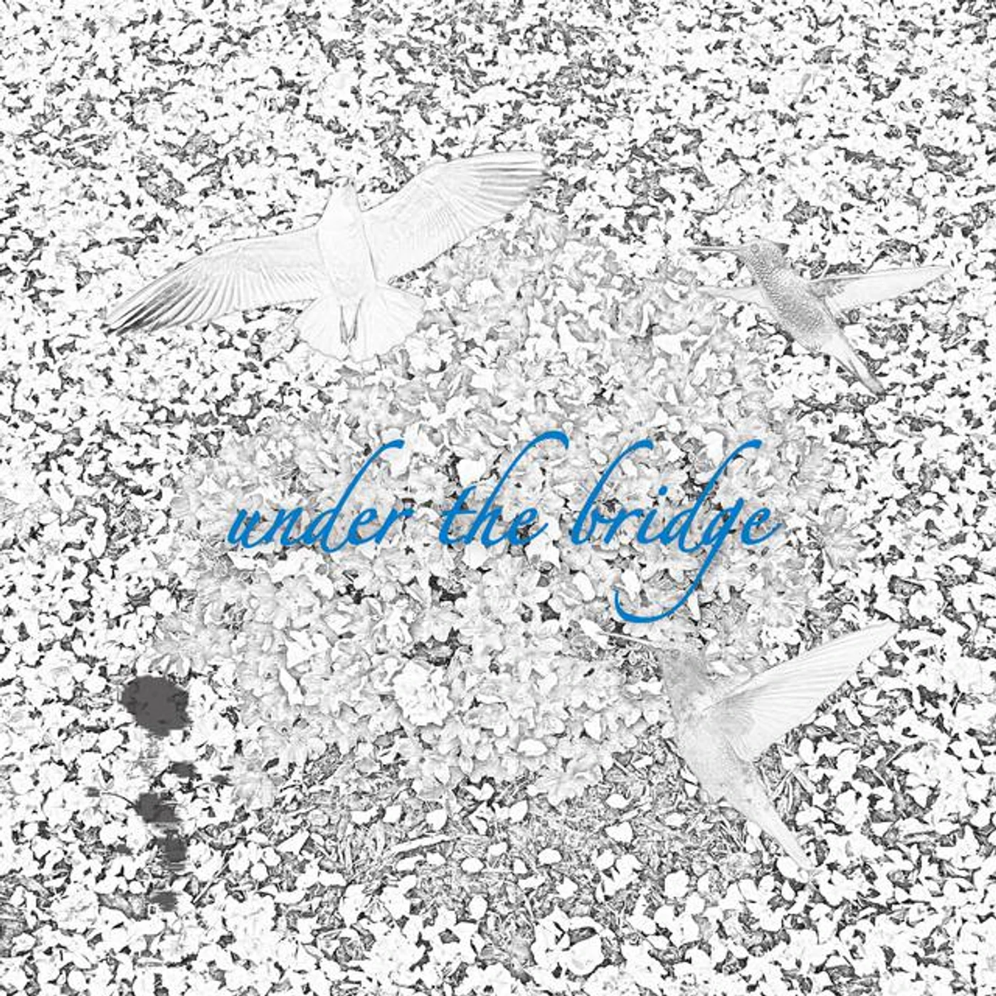 Under the Bridge