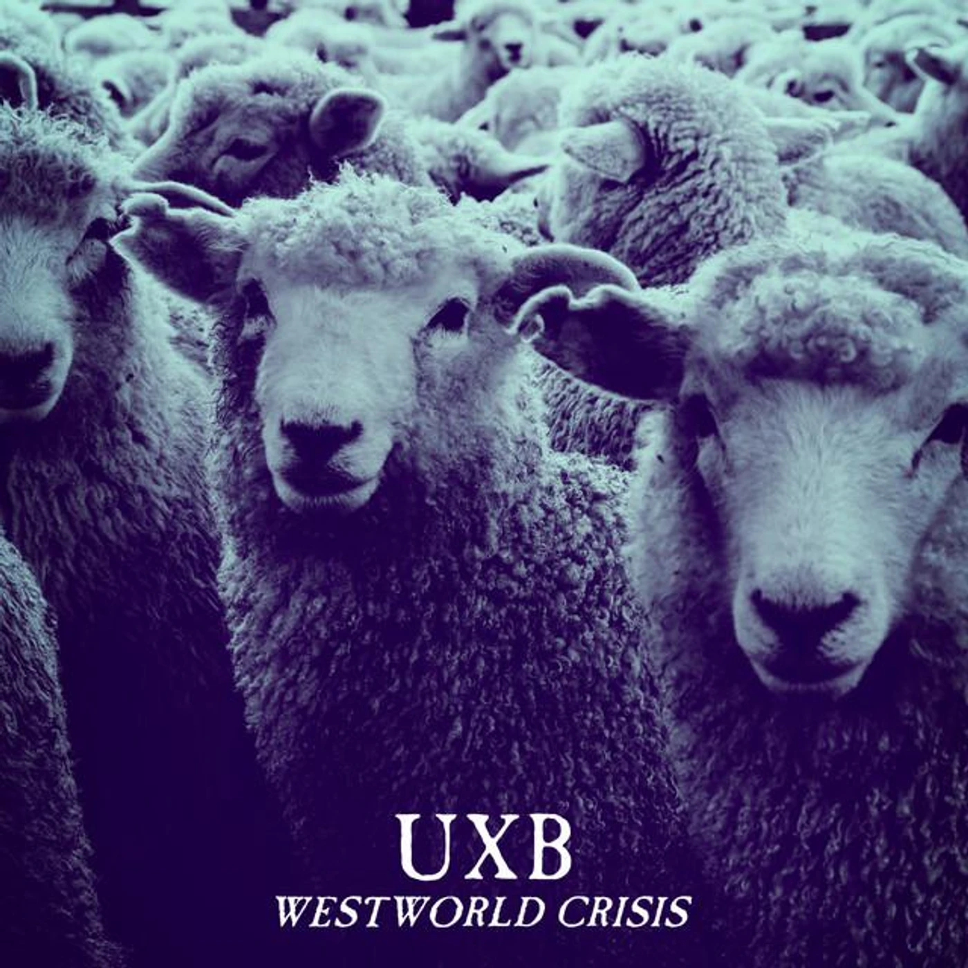 UNITED X BOMBS