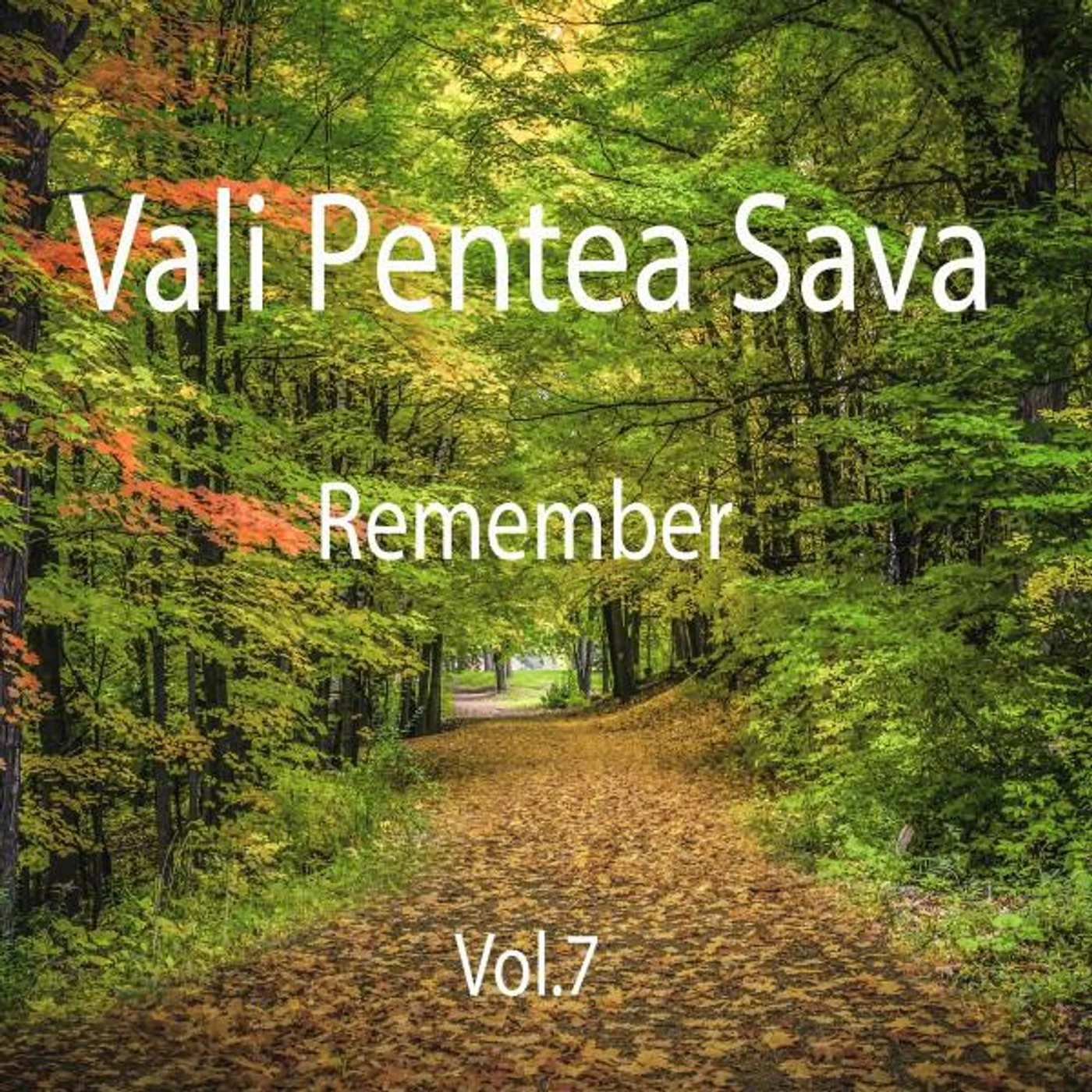 Vali Pentea Sava