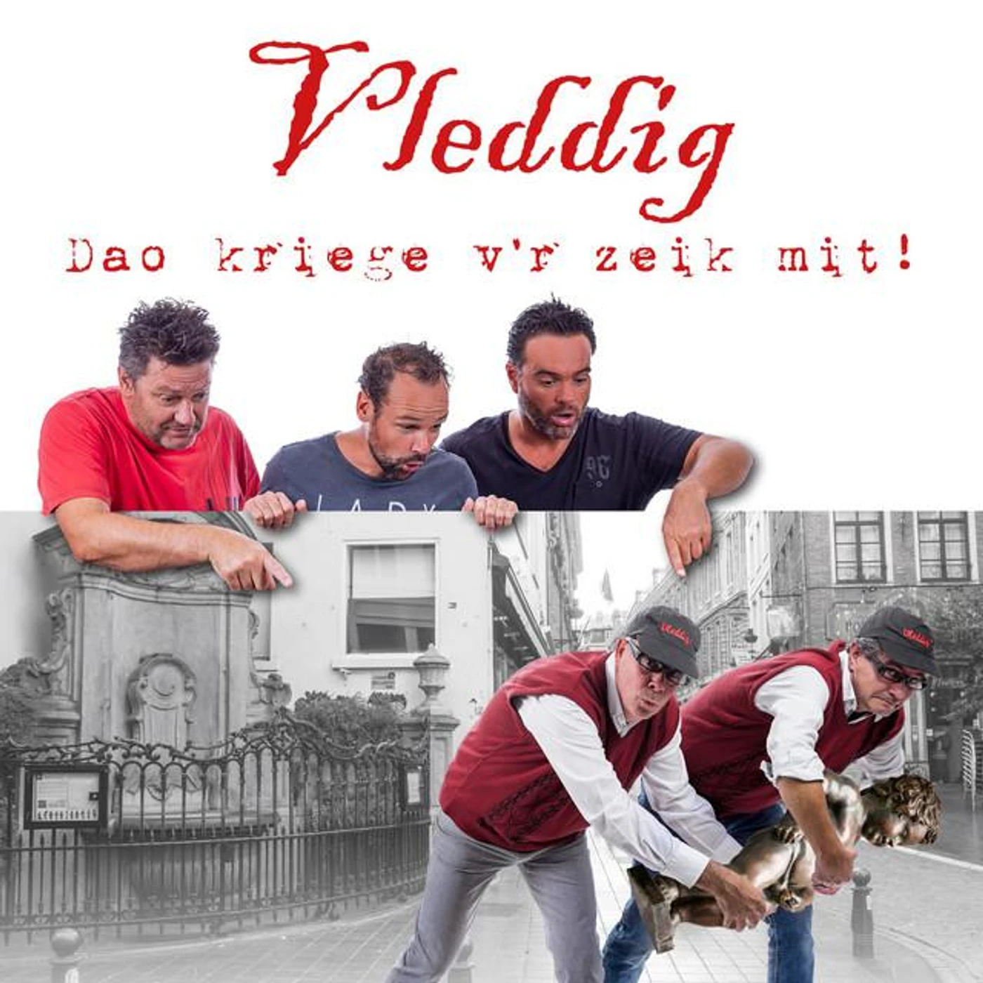 Vleddig