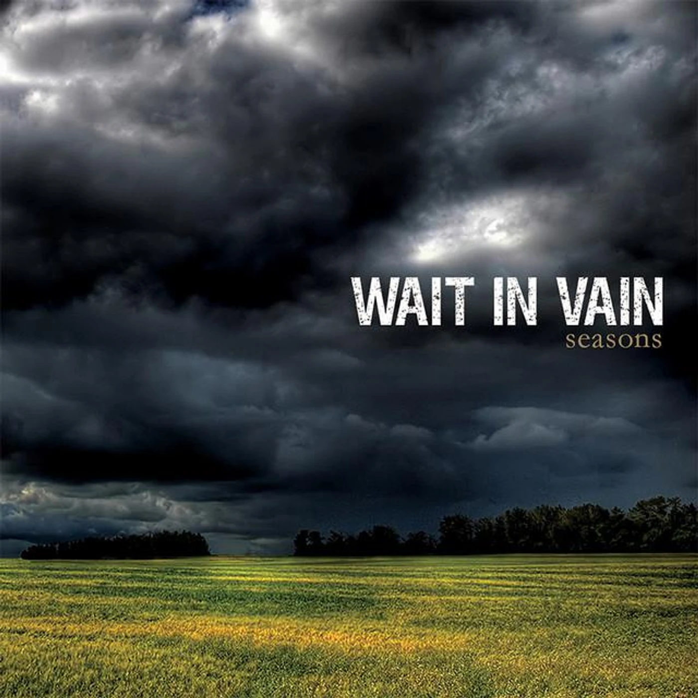 Wait In Vain