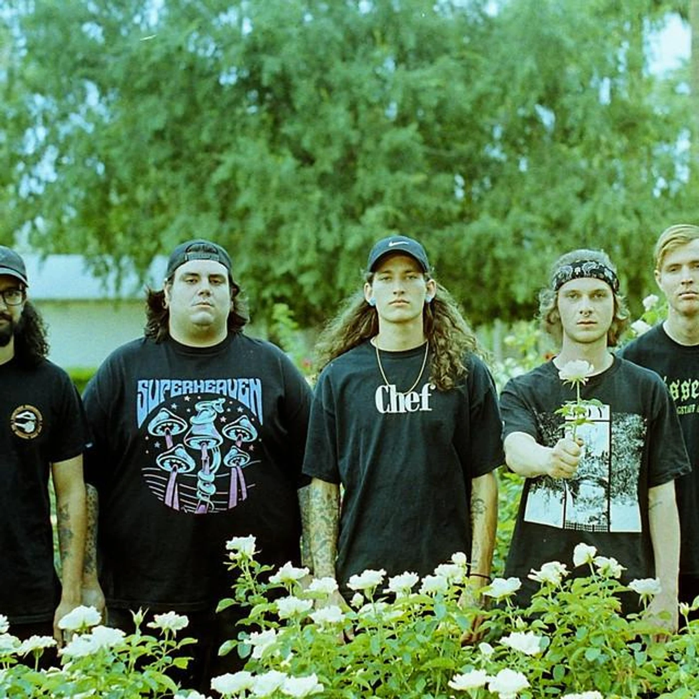 Withered Bones