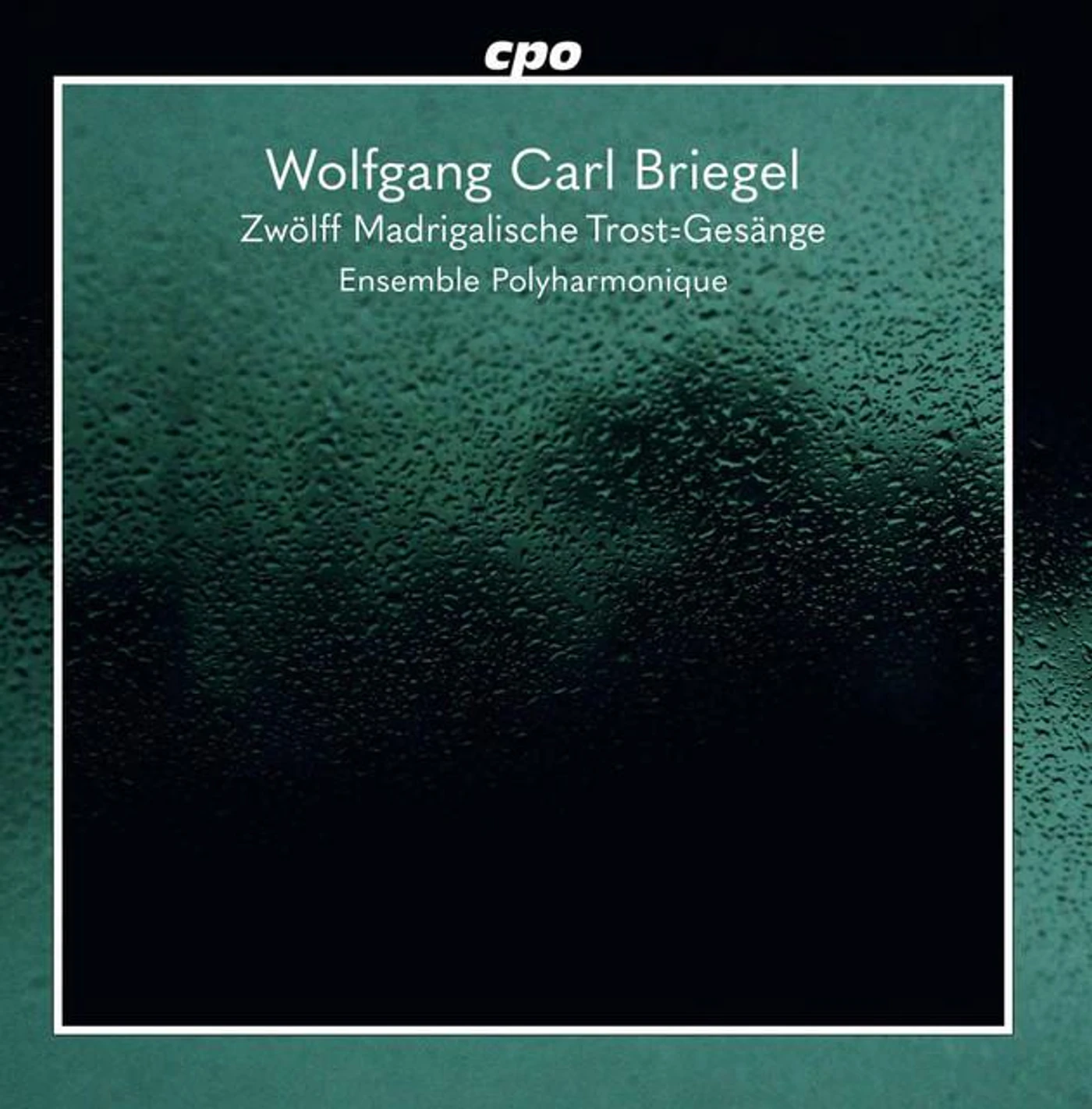 Wolfgang Carl Briegel