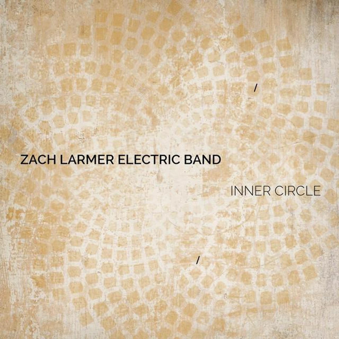 Zach Larmer Electric Band