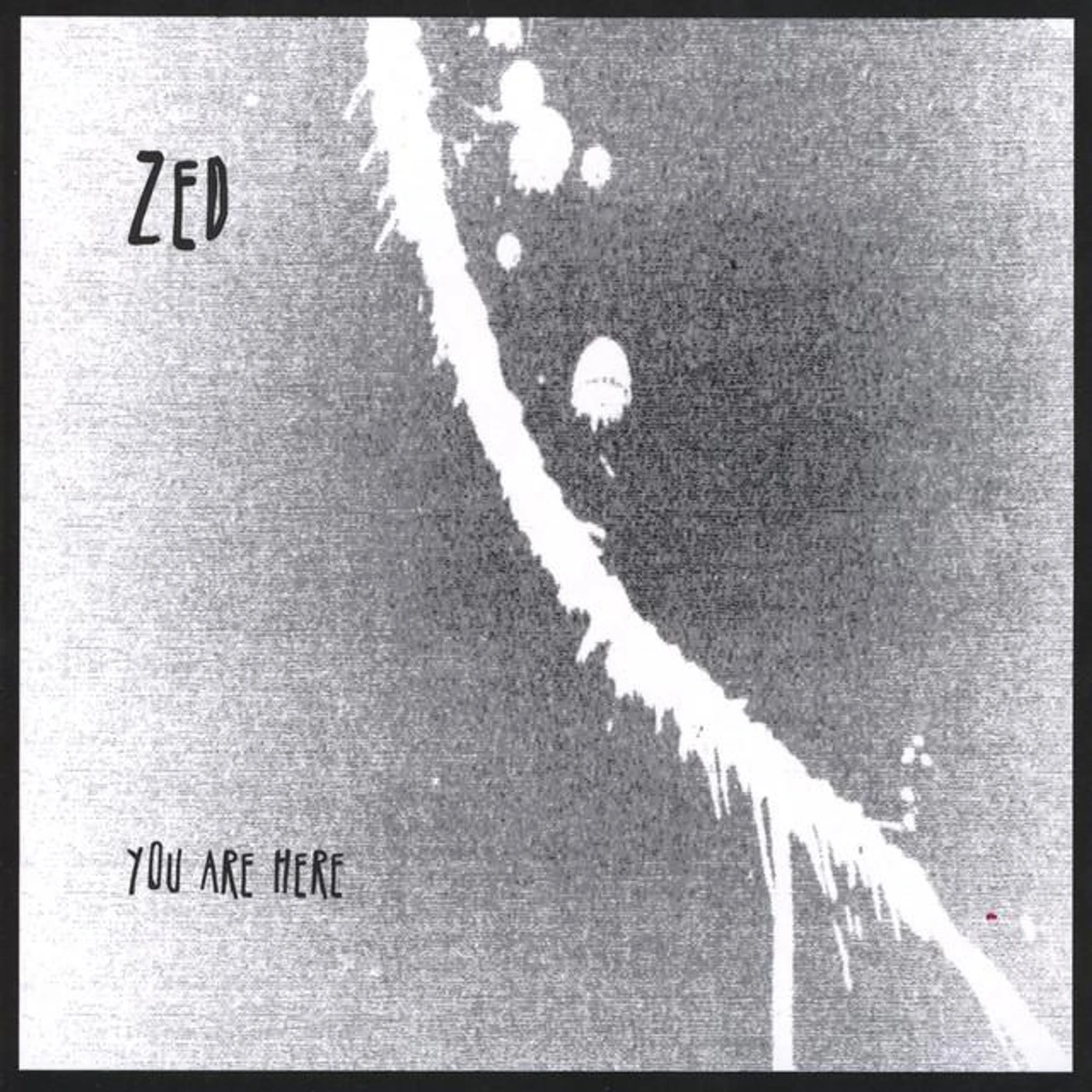 Zed