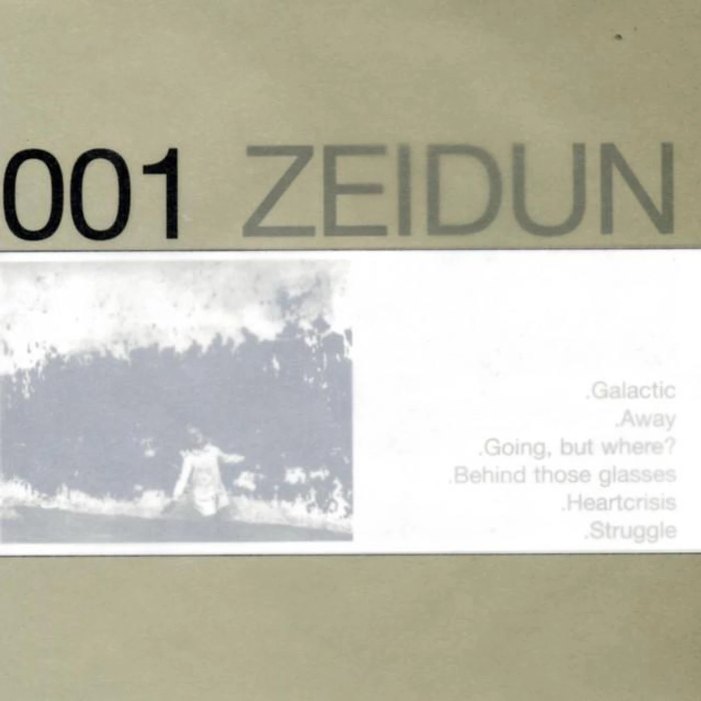 Zeidun