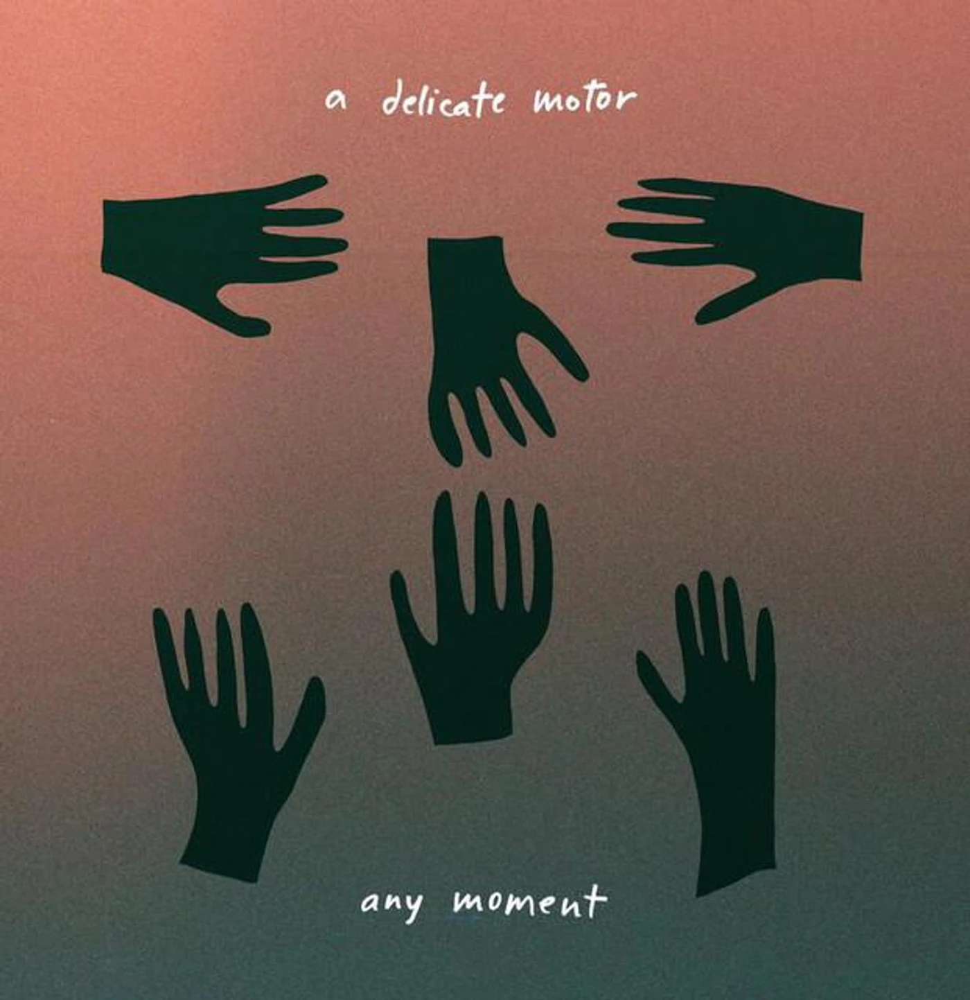 A Delicate Motor
