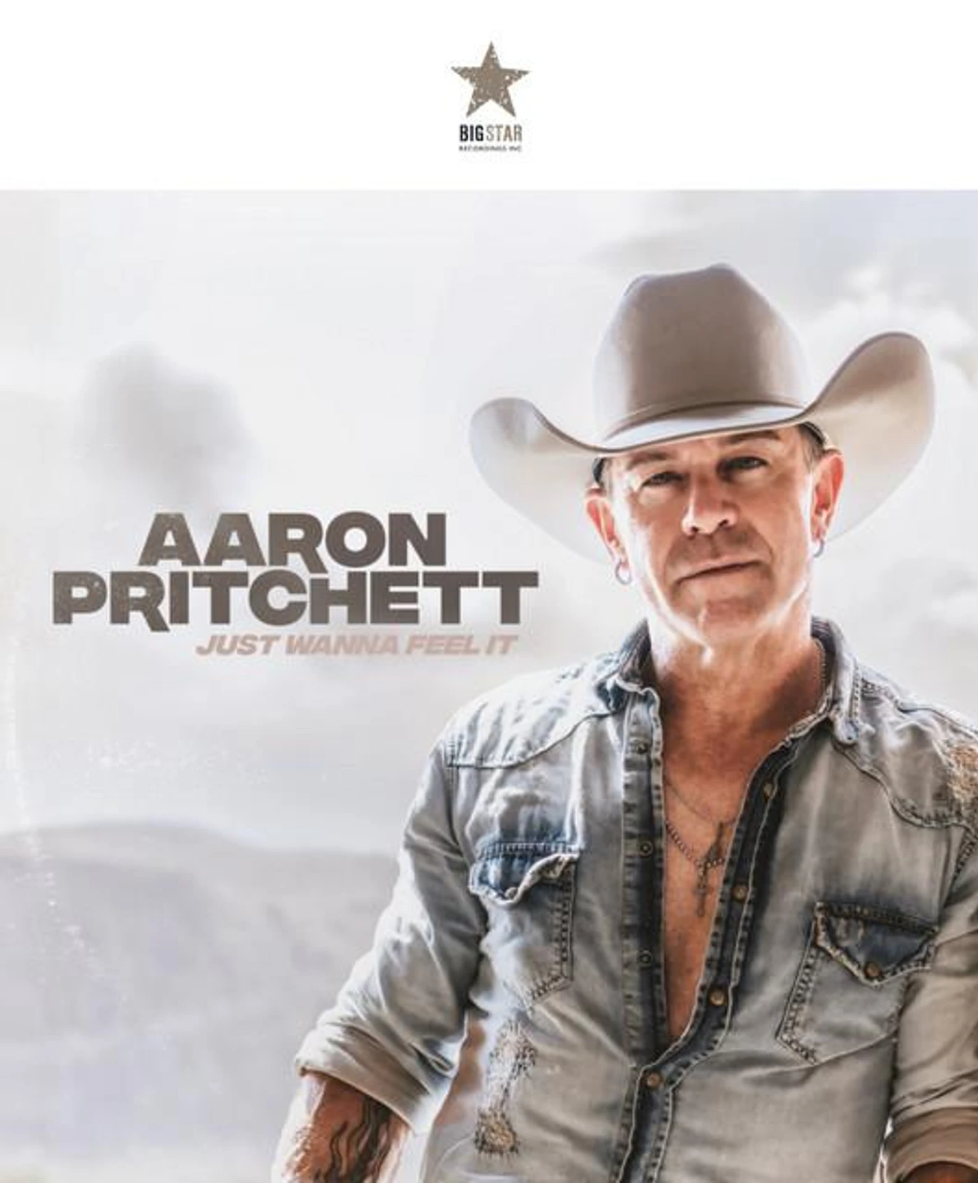 Aaron Pritchett