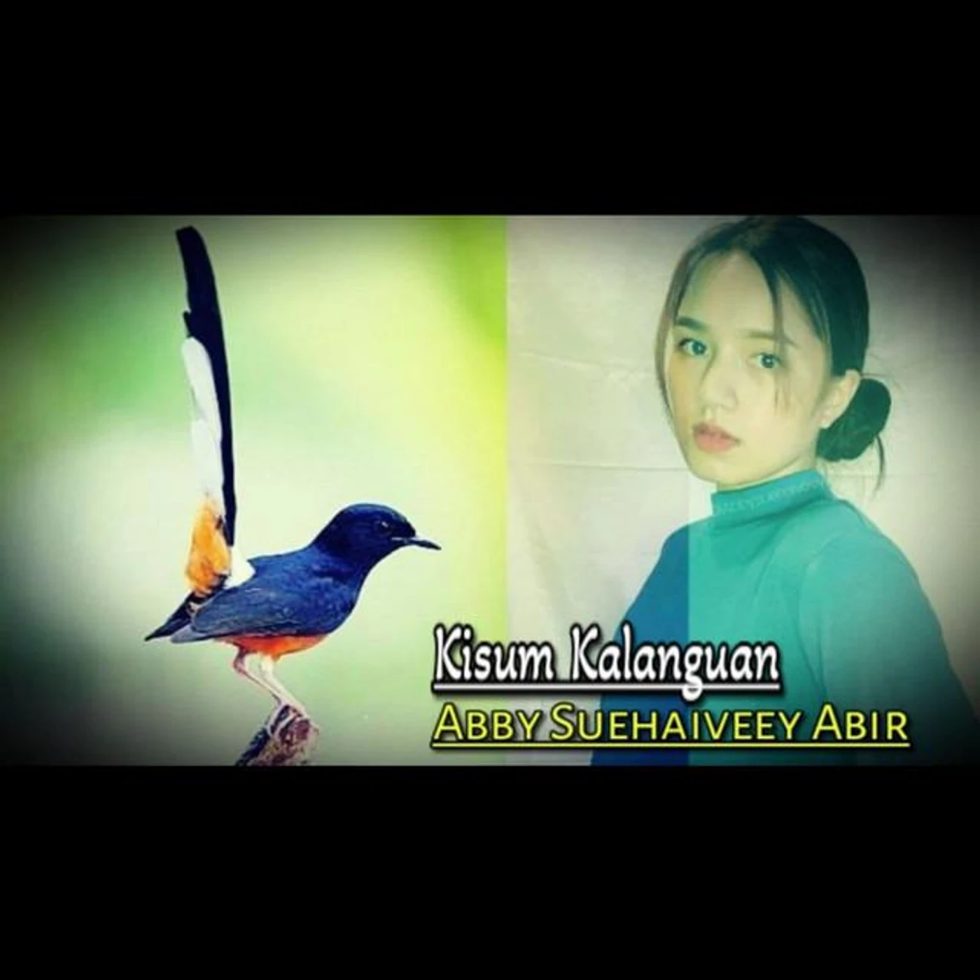 Abby Suehaiveey Abir