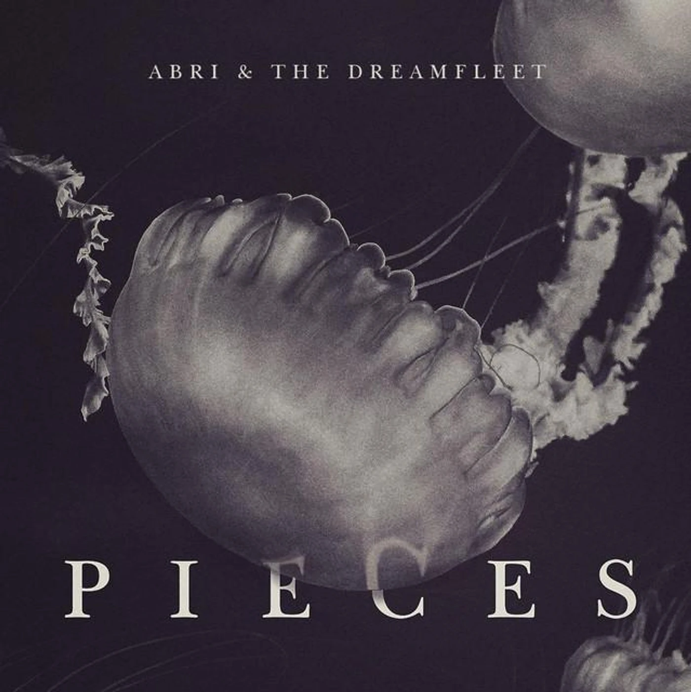 Abri and the Dreamfleet