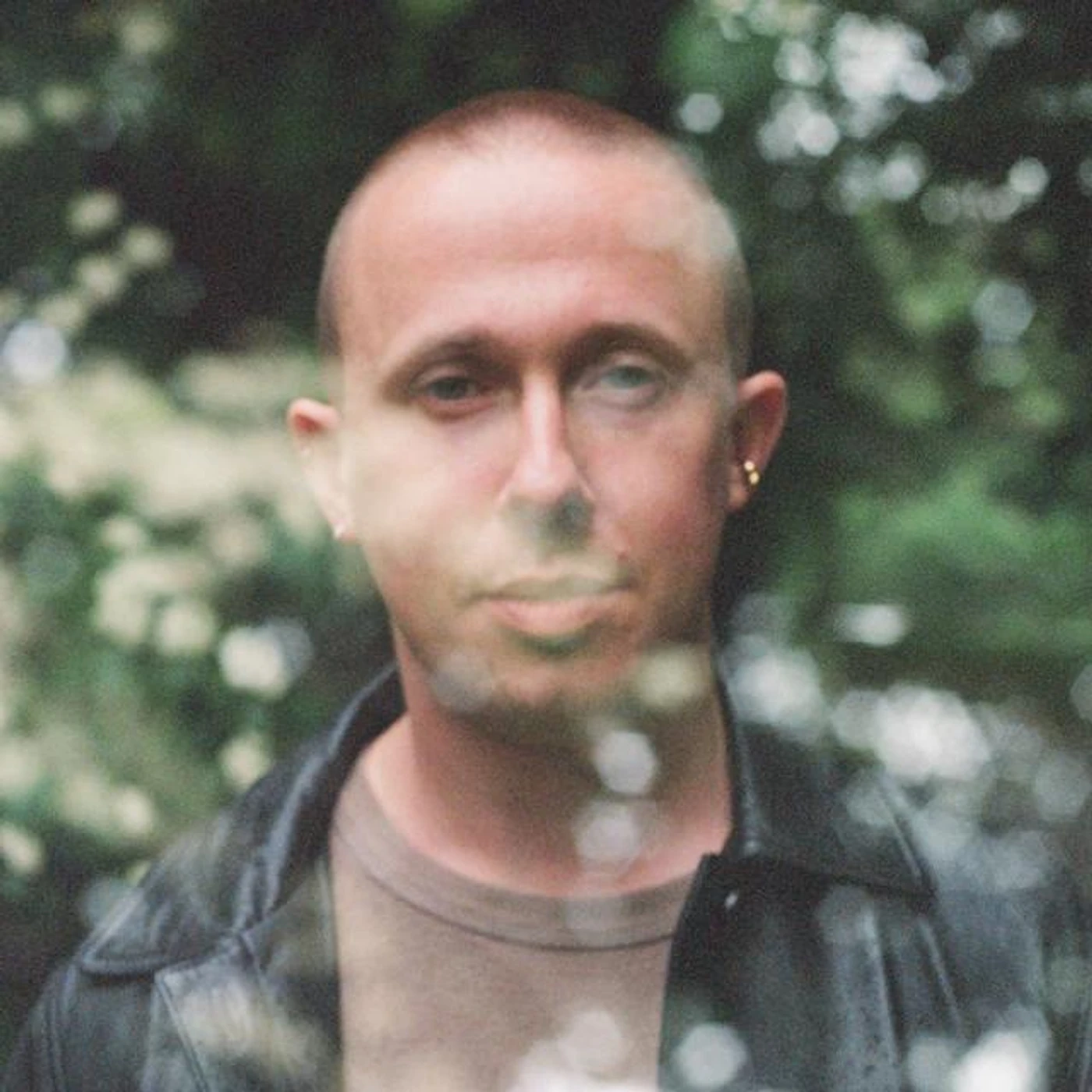 Alex Hitchcock