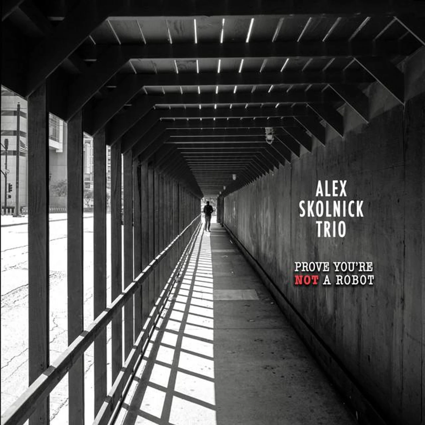 Alex Skolnick Trio