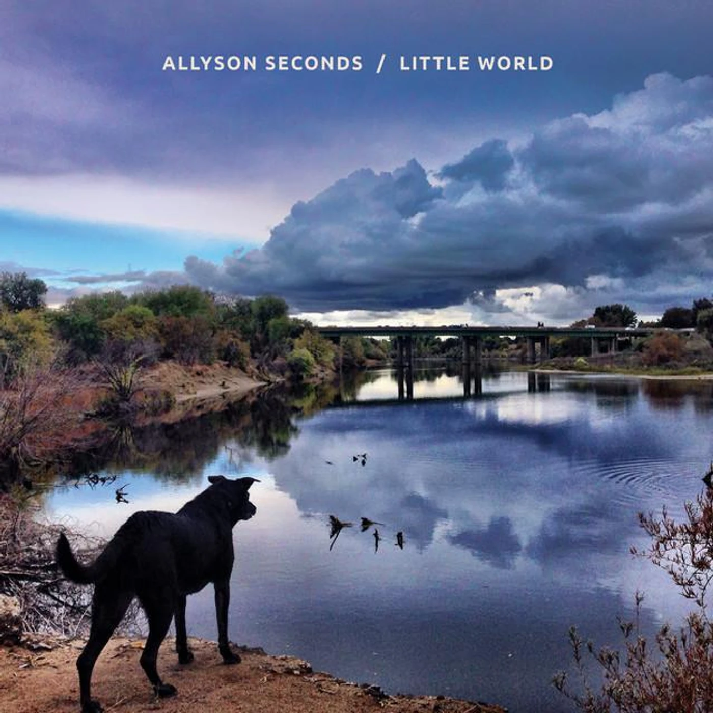 Allyson Seconds