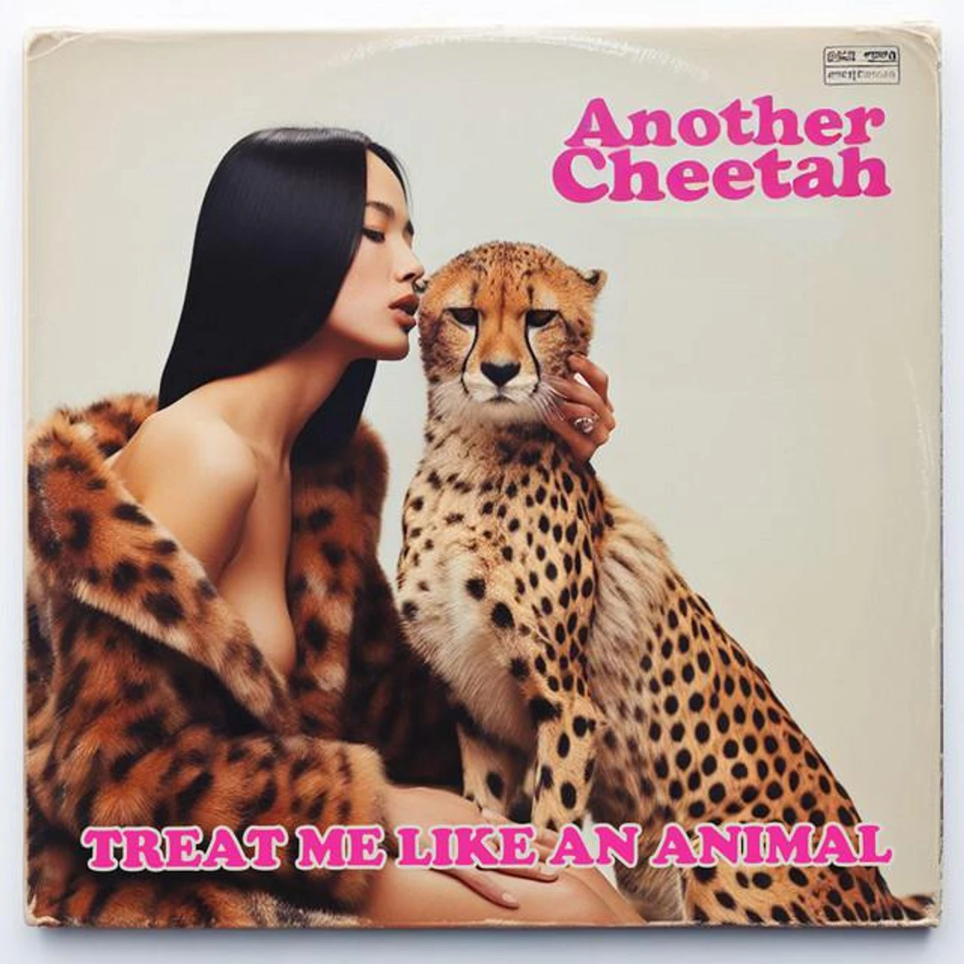 Another Cheetah