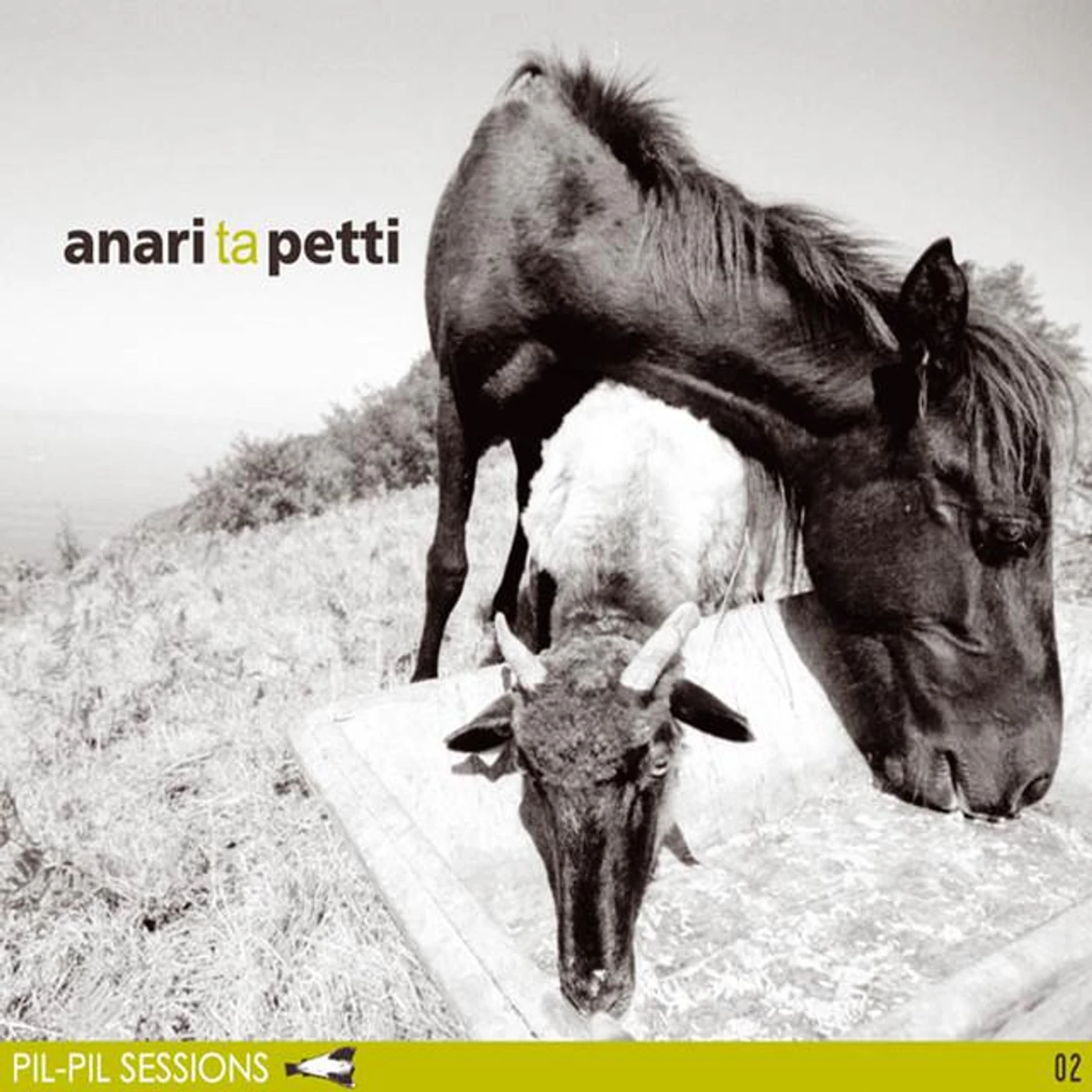 Anari ta Petti