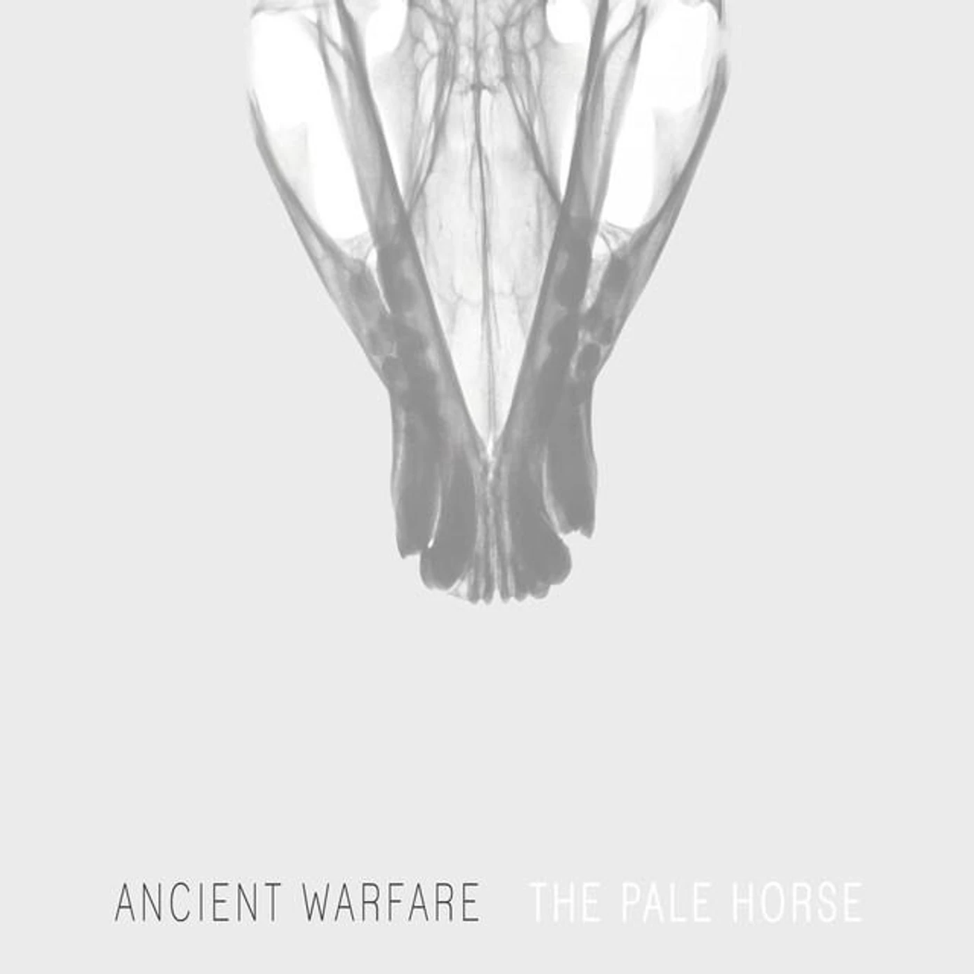 Ancient Warfare
