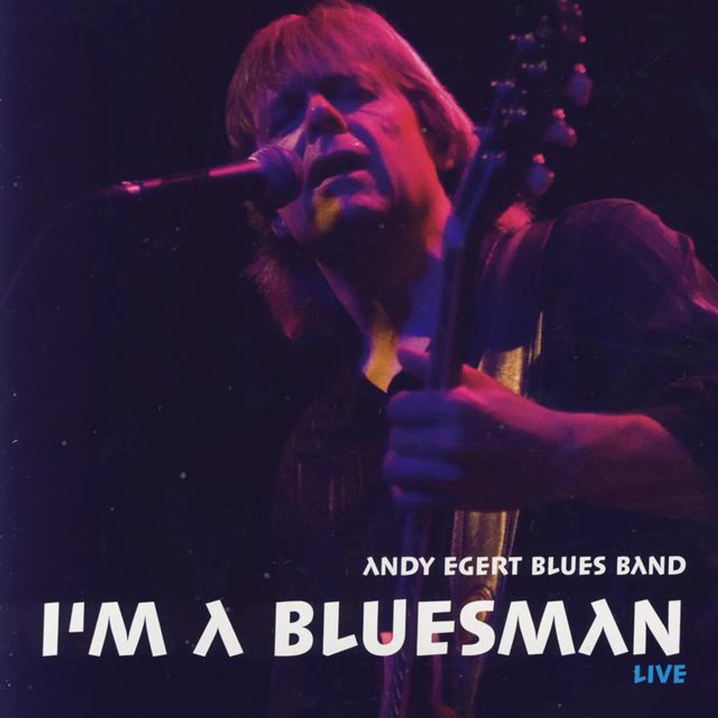 Andy Egert Blues Band