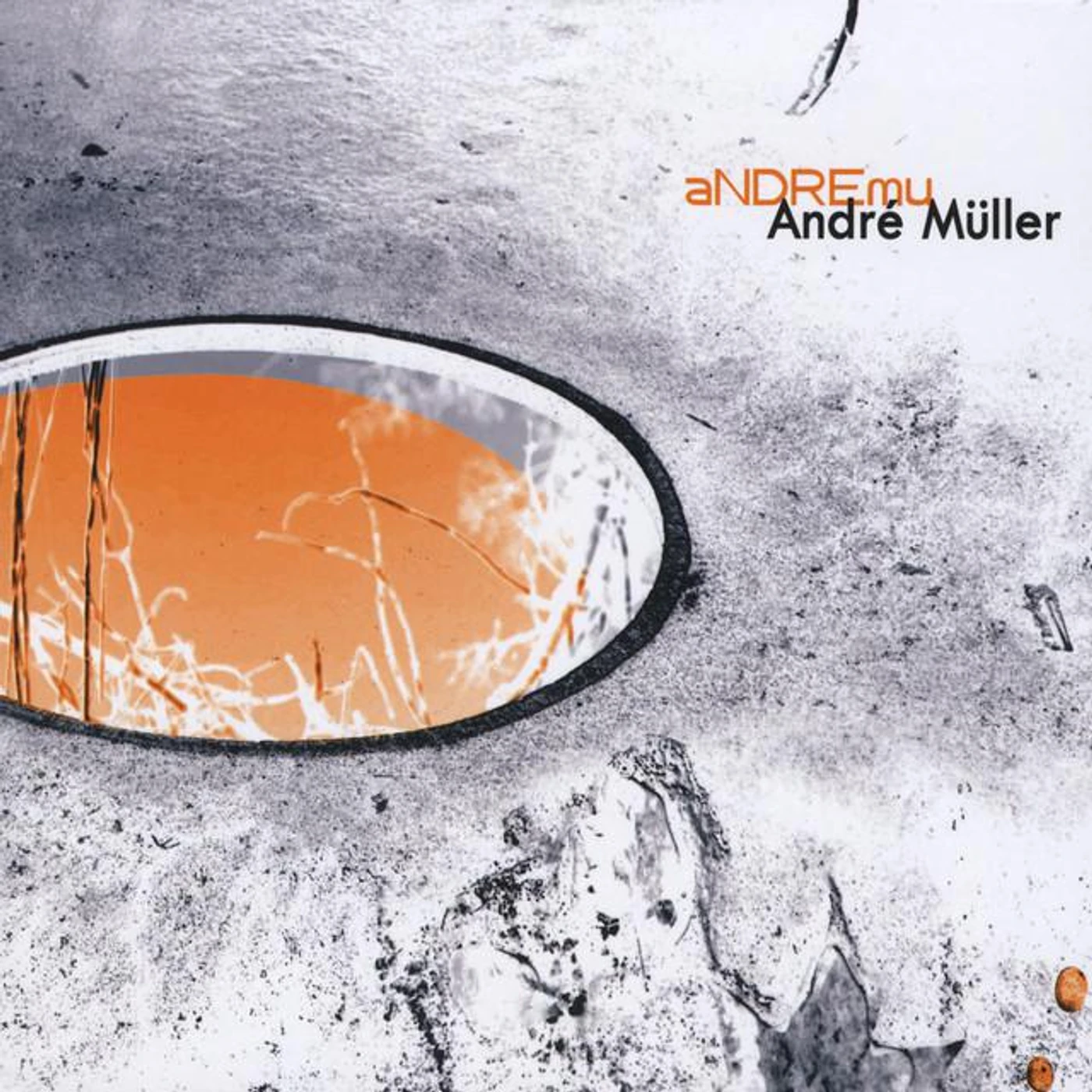 Andre Mueller