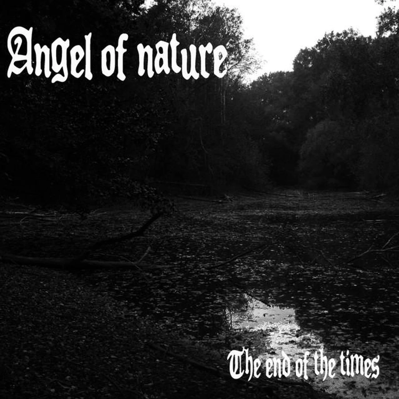 Angel of Nature