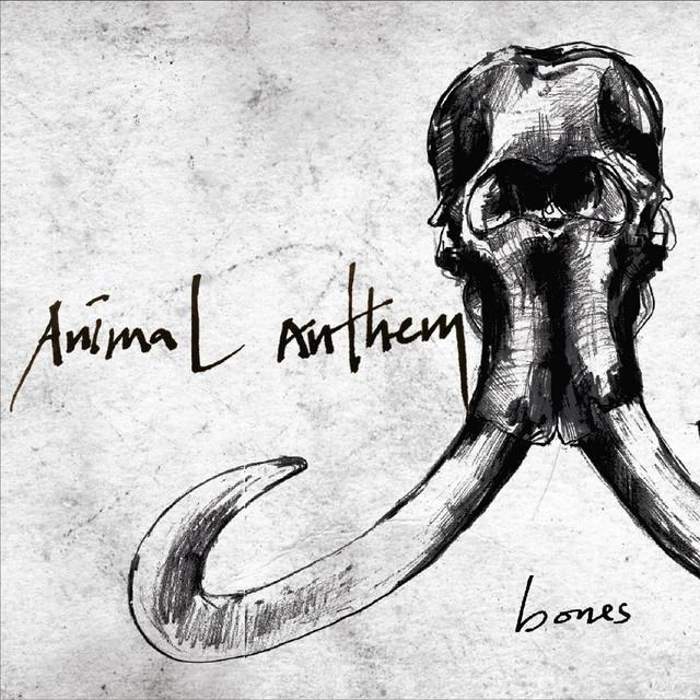 Animal Anthem