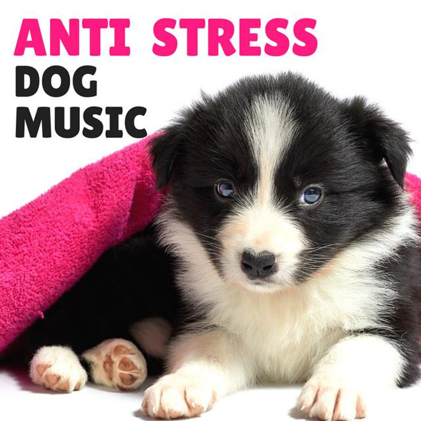 Anti Stress Dog Music