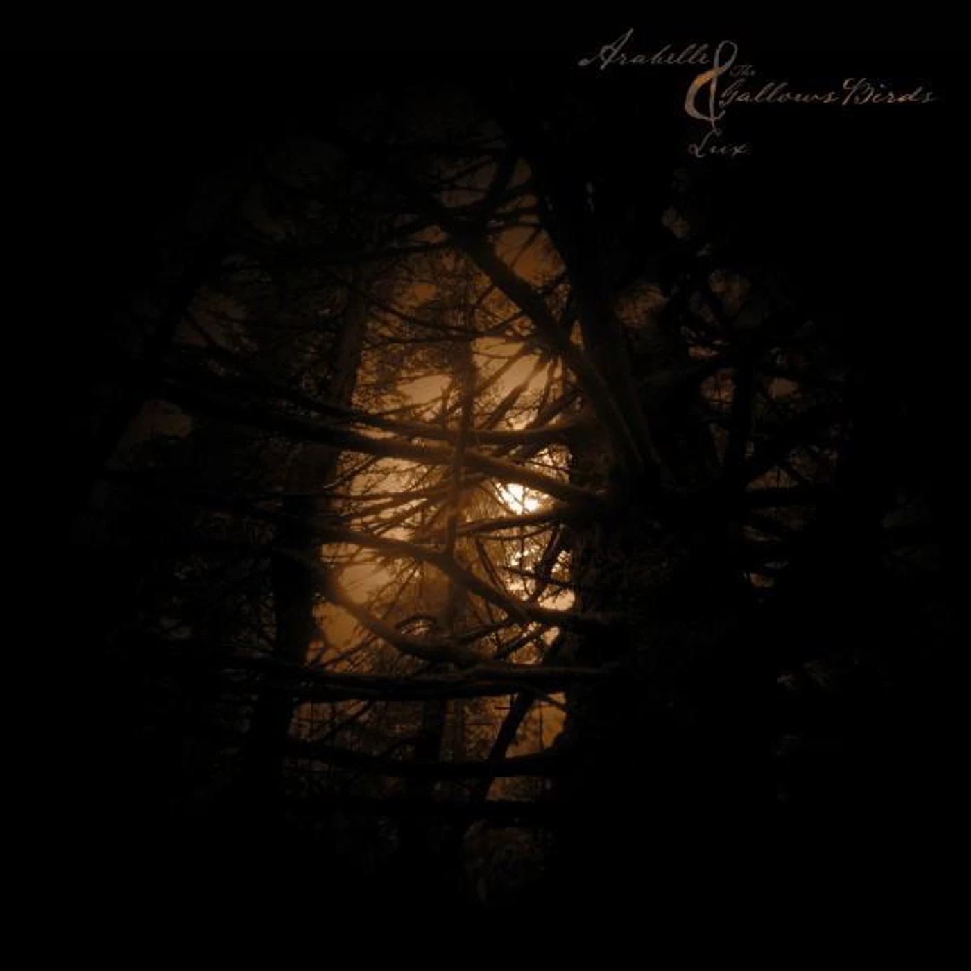 Arabelle & the Gallows Birds
