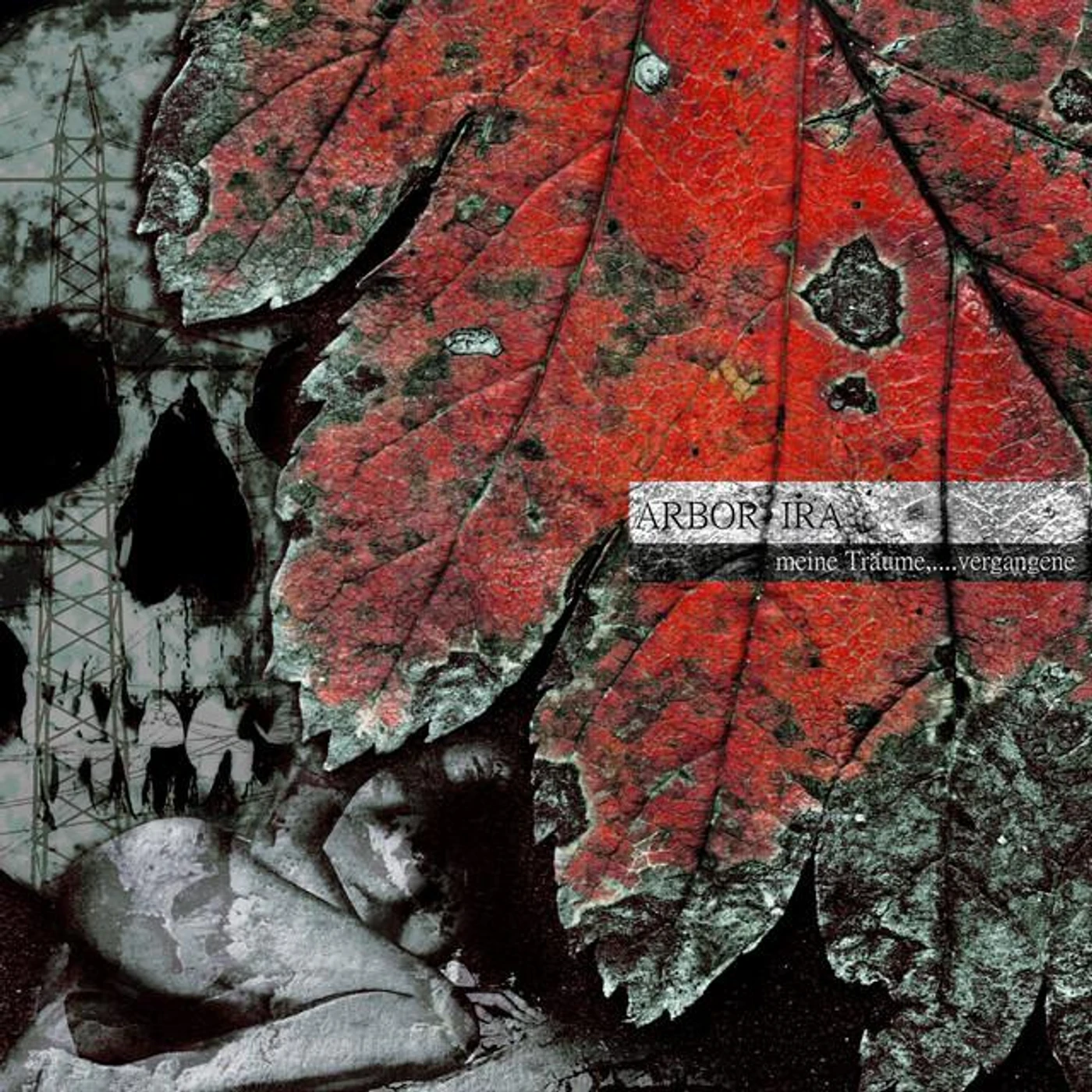 Arbor Ira