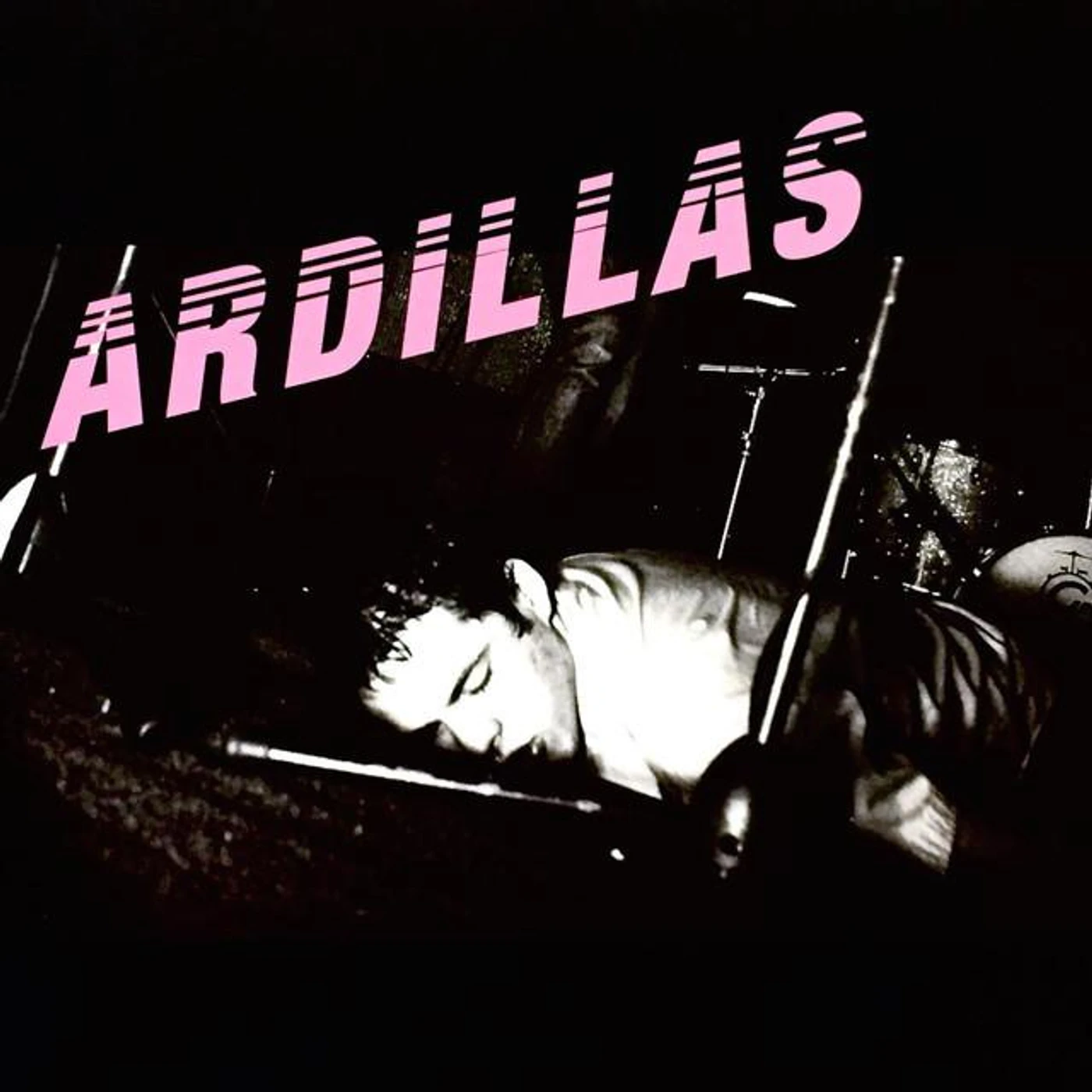 Ardillas