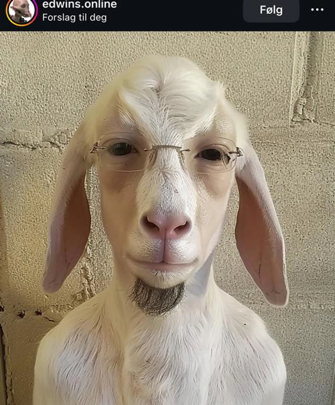 BERGREM