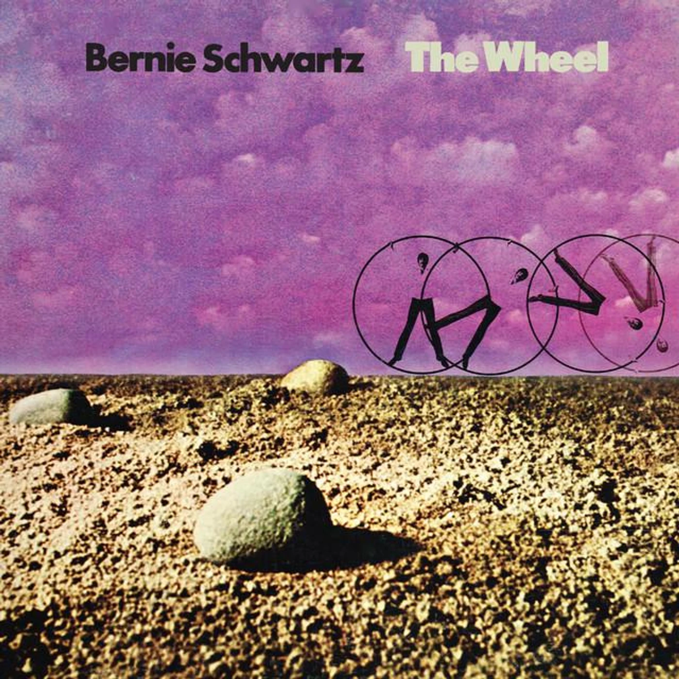 Bernie Schwartz