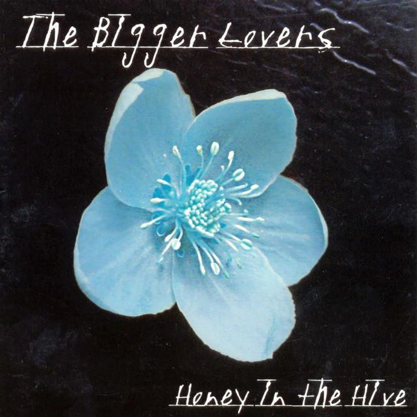 The Bigger Lovers