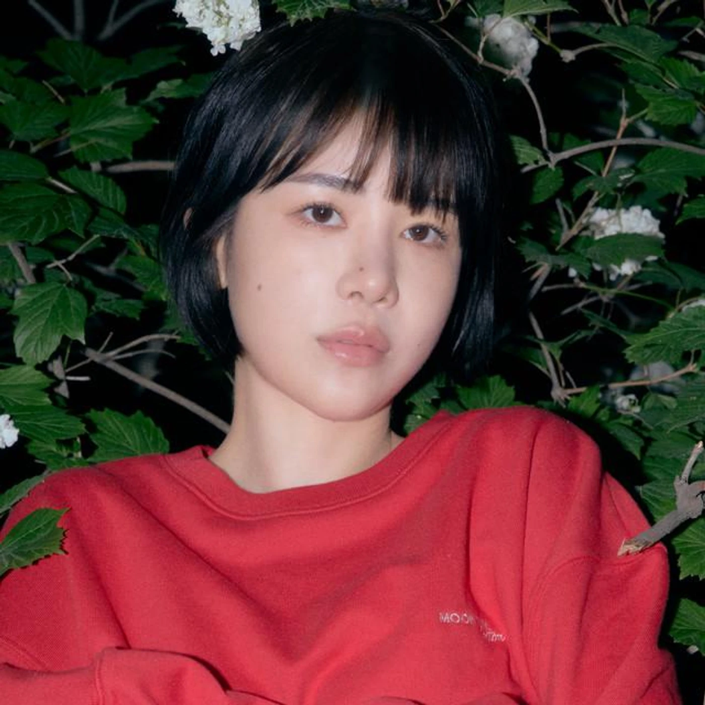 bobae
