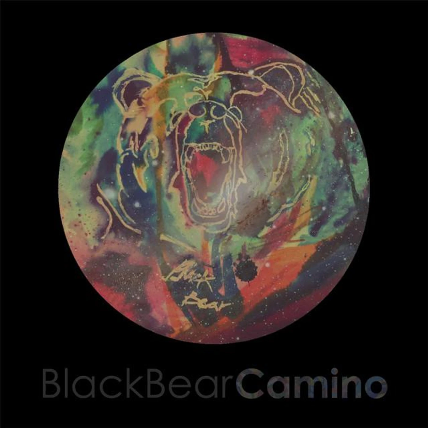 Black Bear