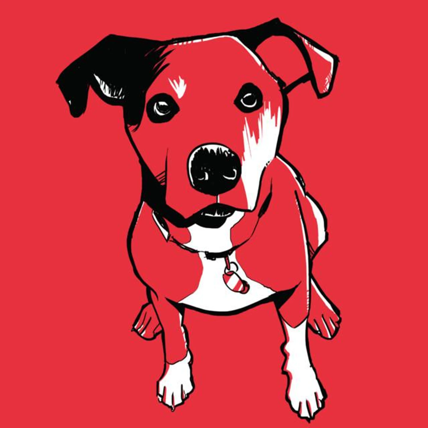 Bright Dog Red