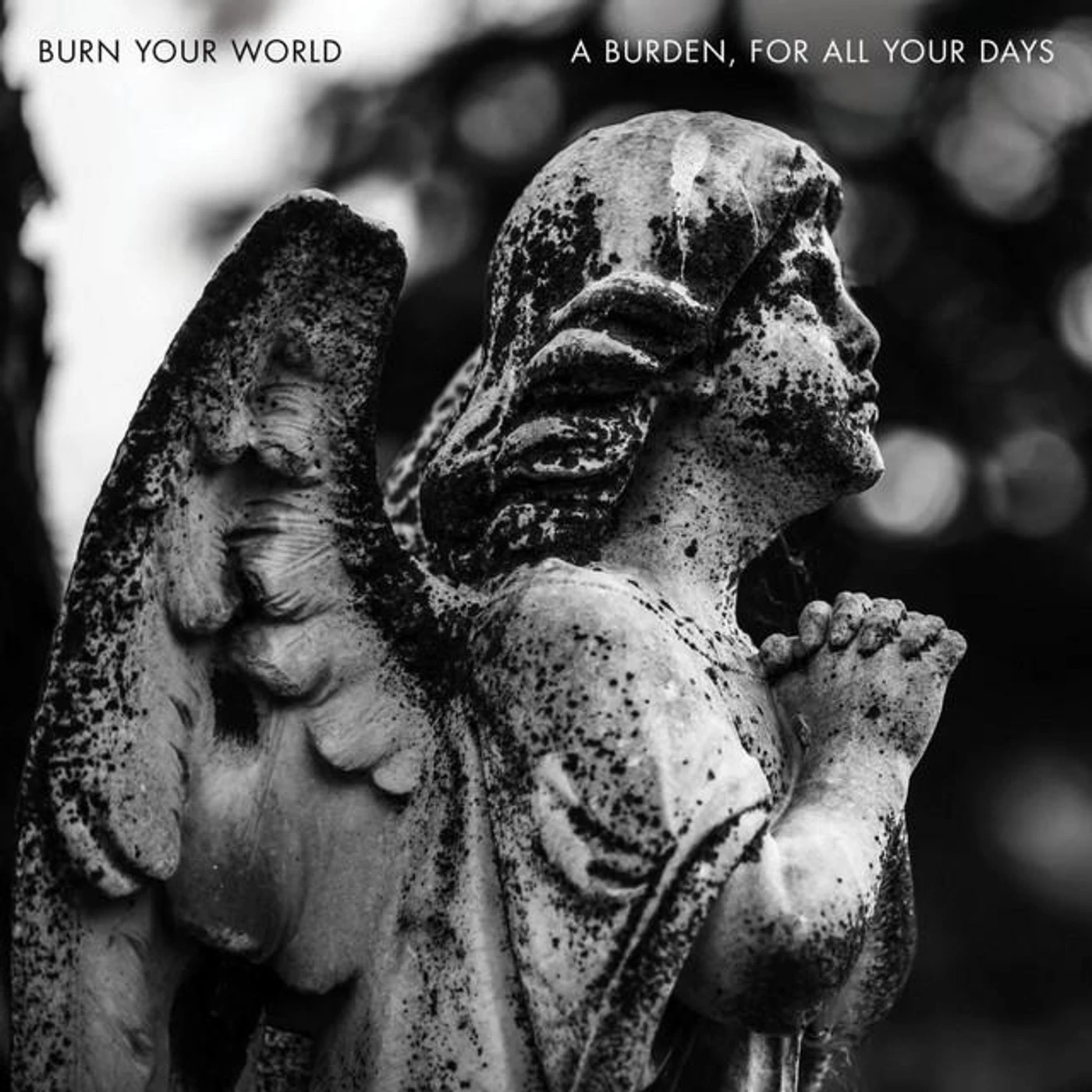 Burn Your World