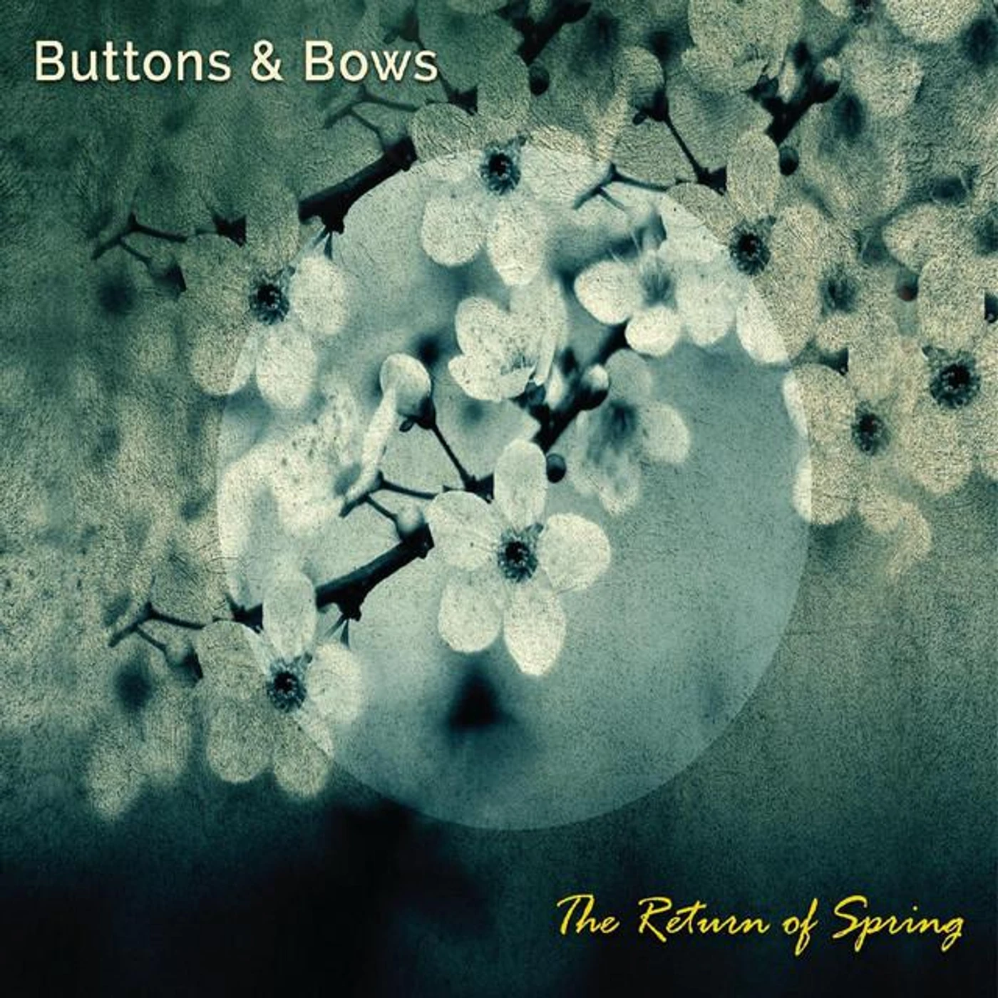 Buttons and Bows