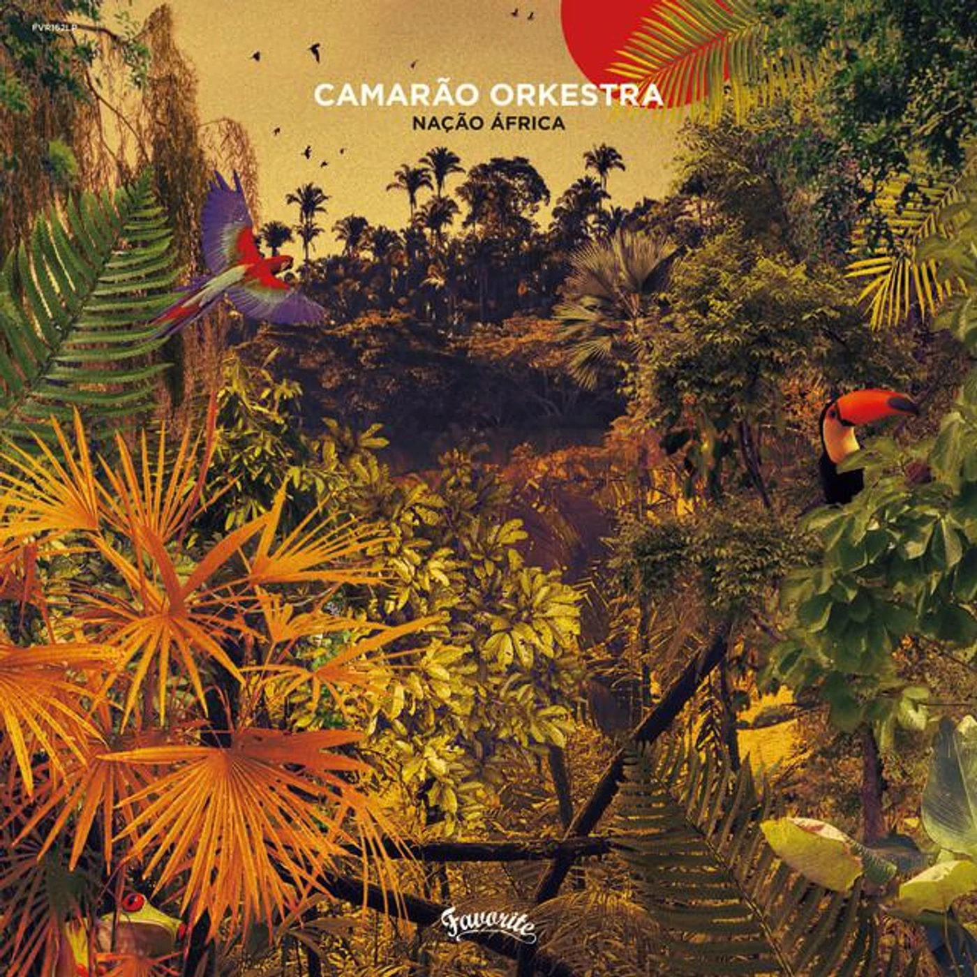 Camarão Orkestra