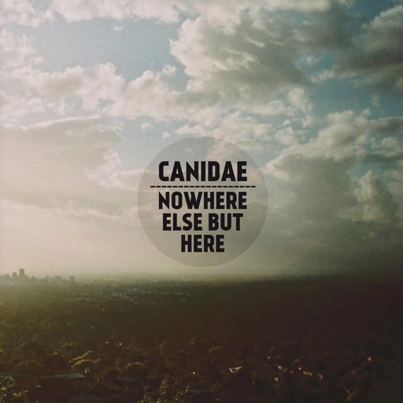 Canidae