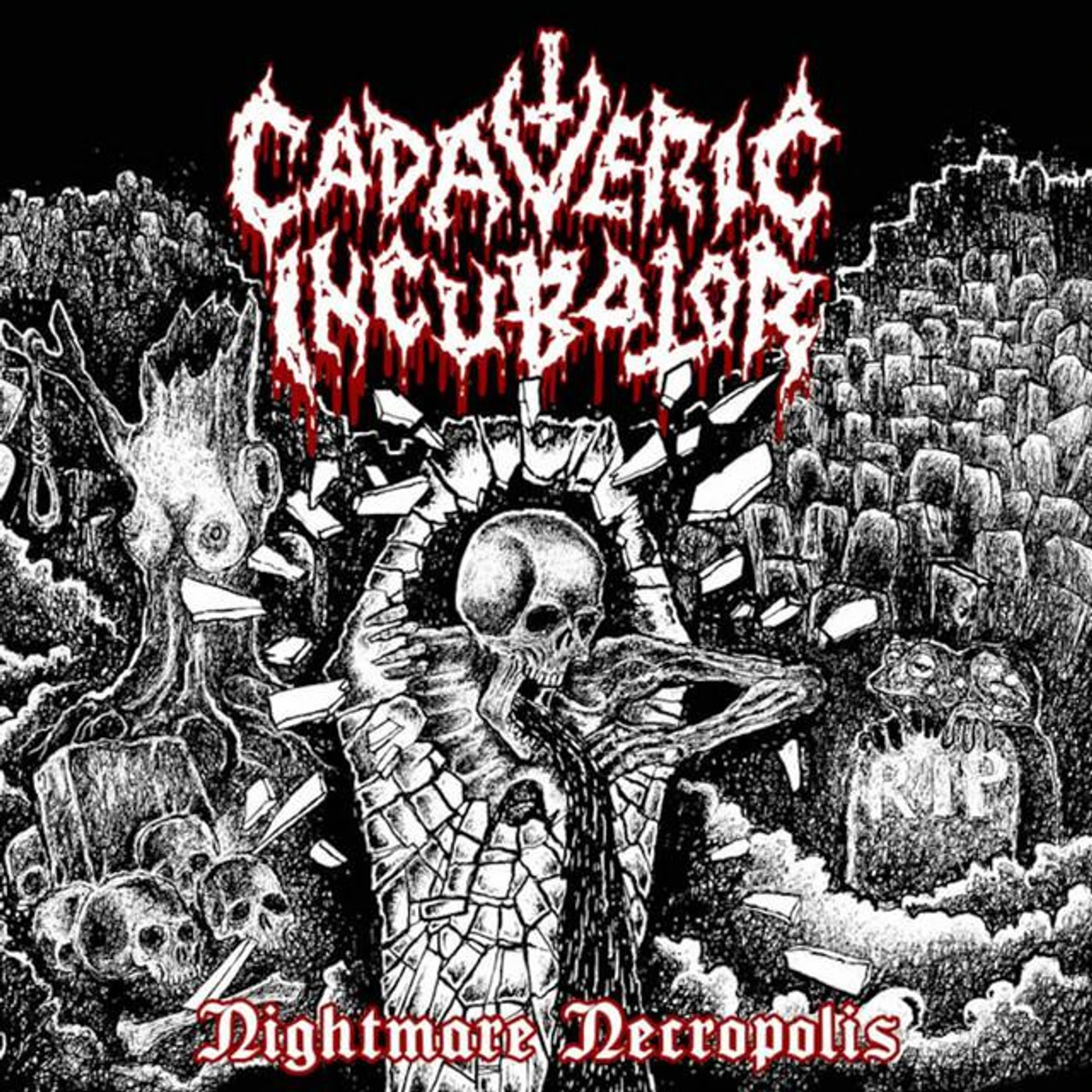 Cadaveric Incubator