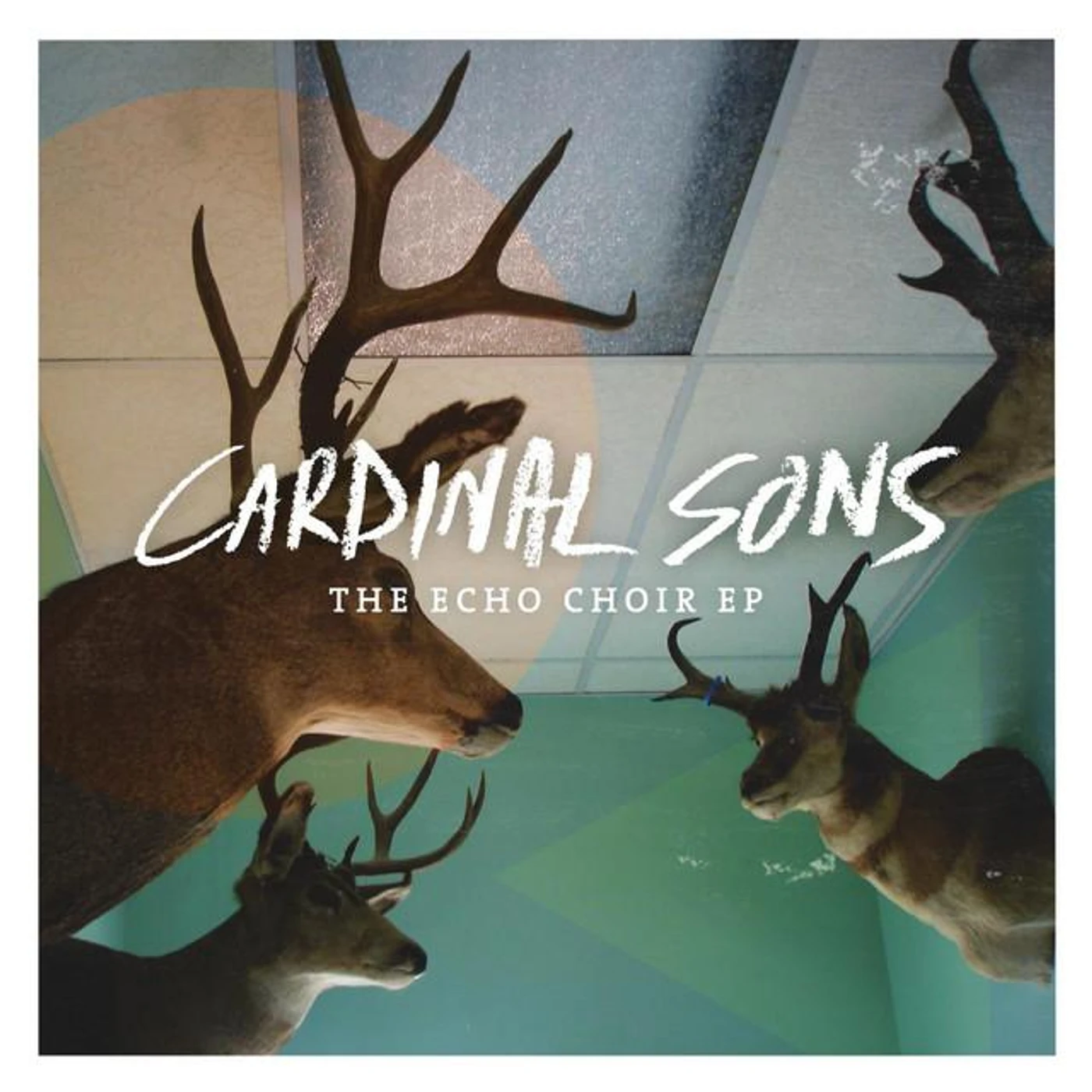 Cardinal Sons