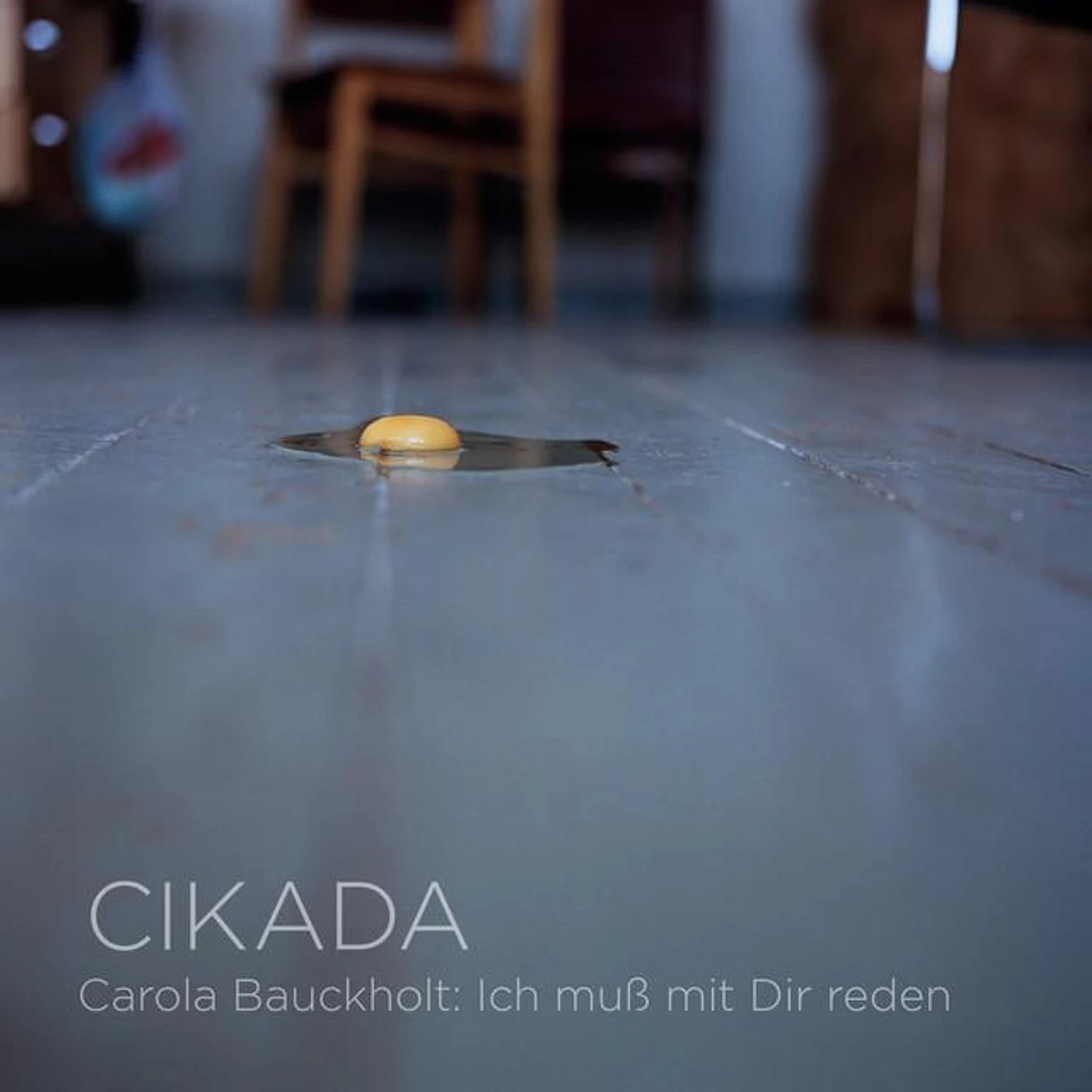 Carola Bauckholt