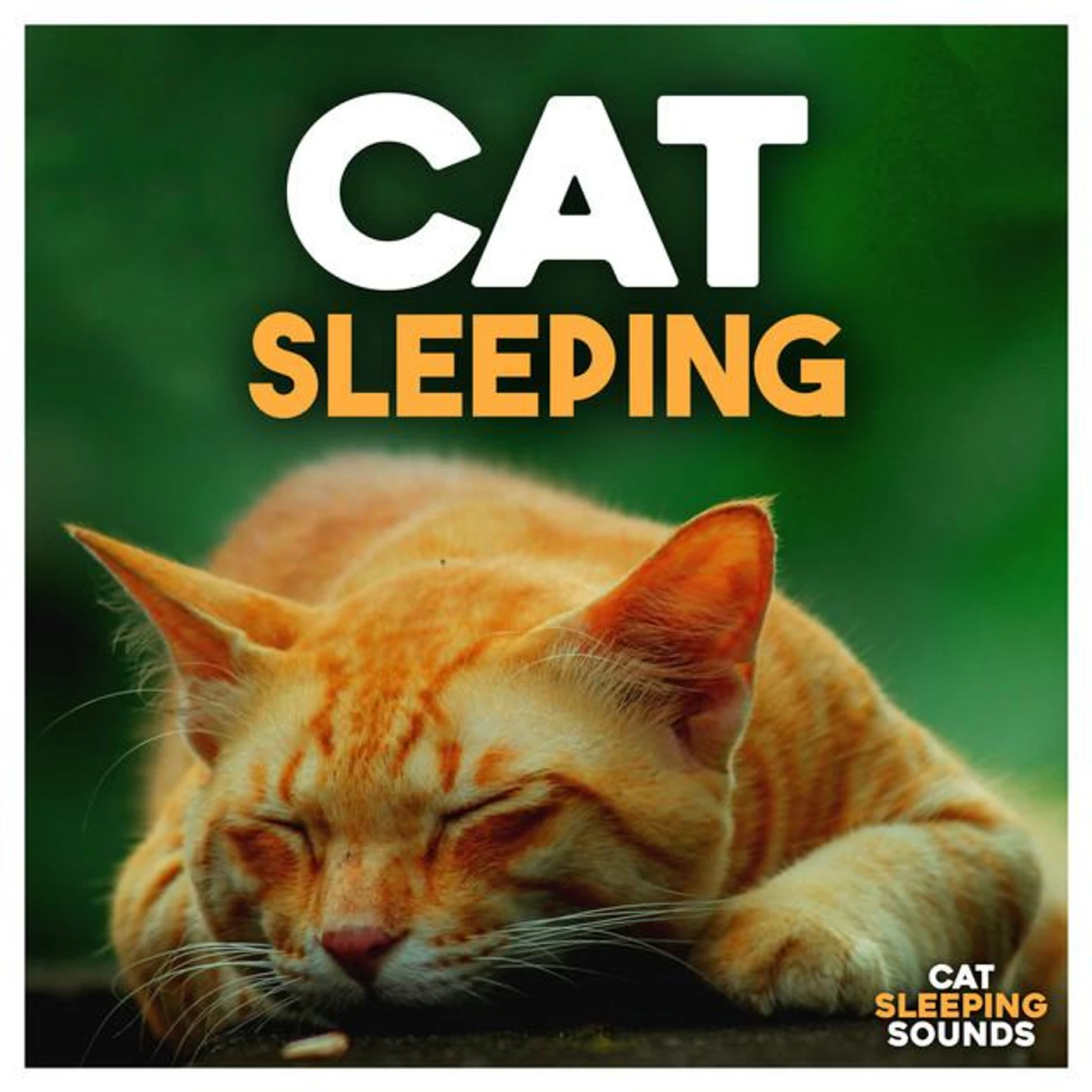 Cat Sleeping Sounds