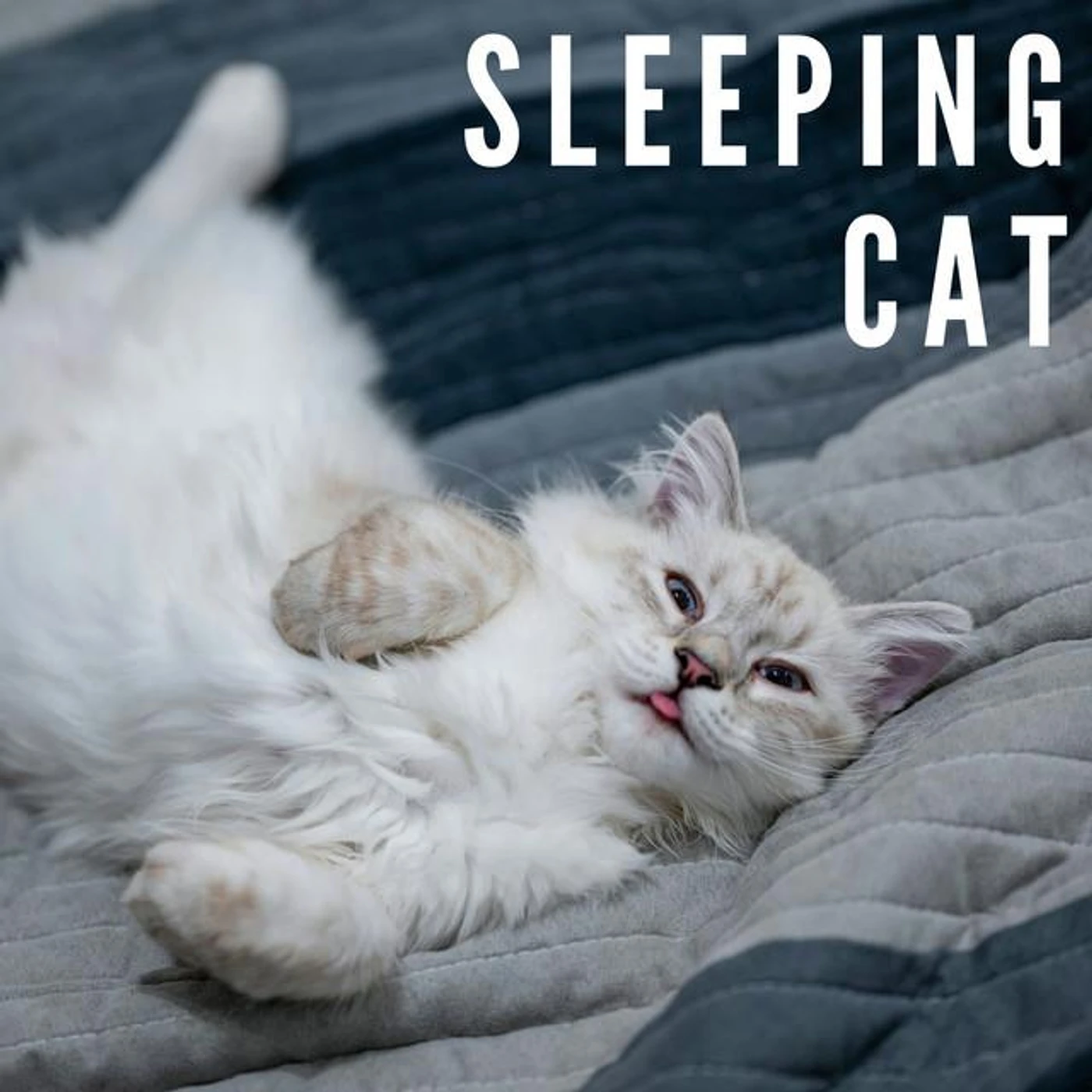 Cat Relax Music