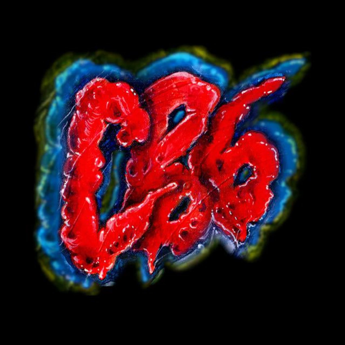 CB6