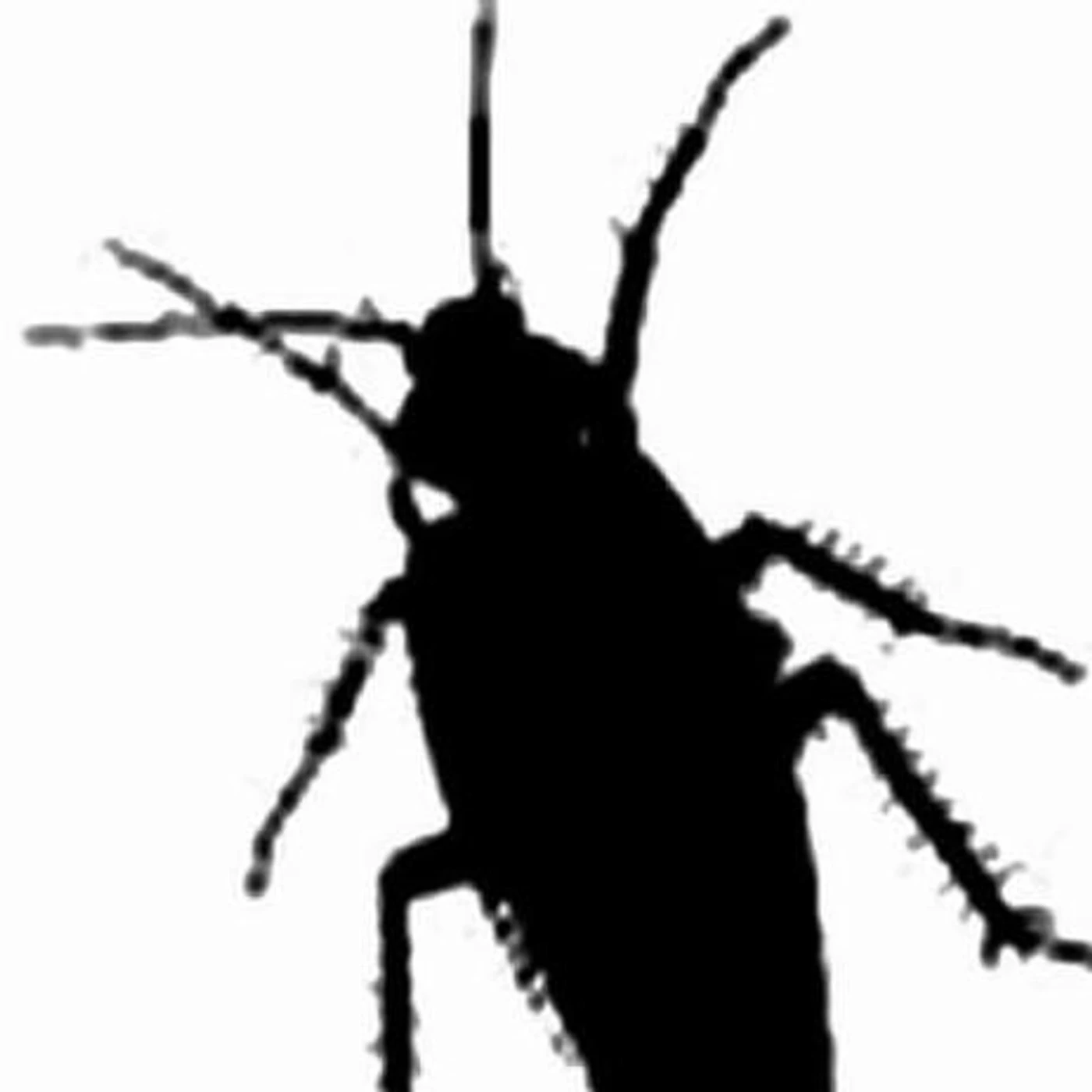Cockroach