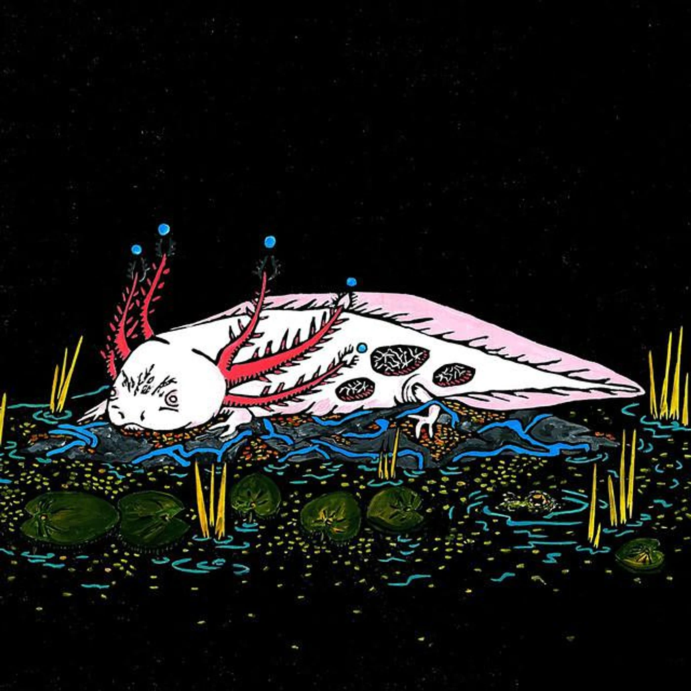 Colonia de Vacaciones