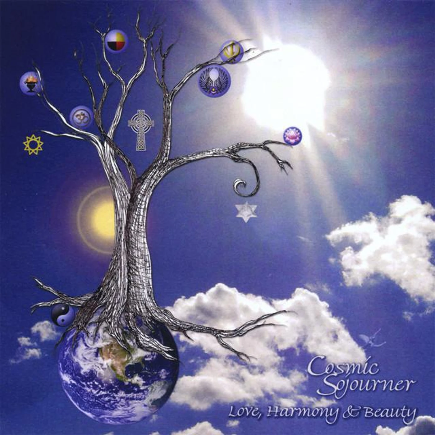 Cosmic Sojourner