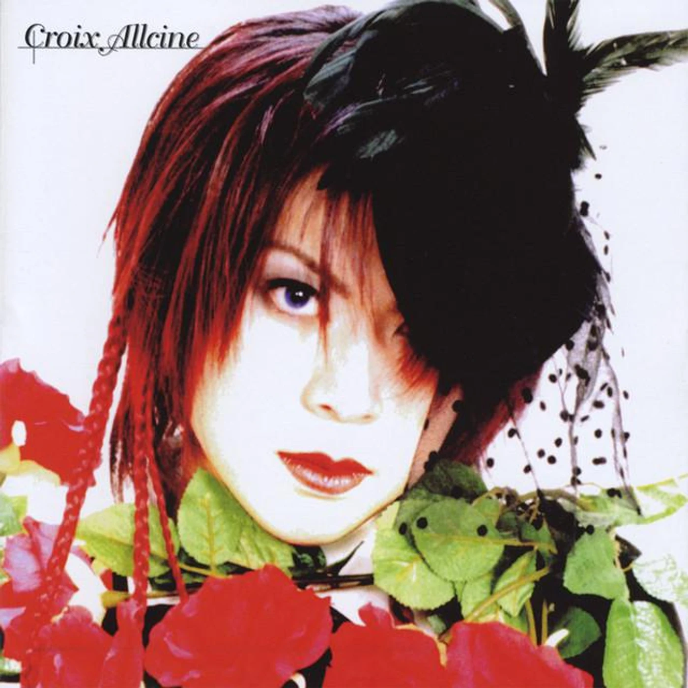 Croix Allcine